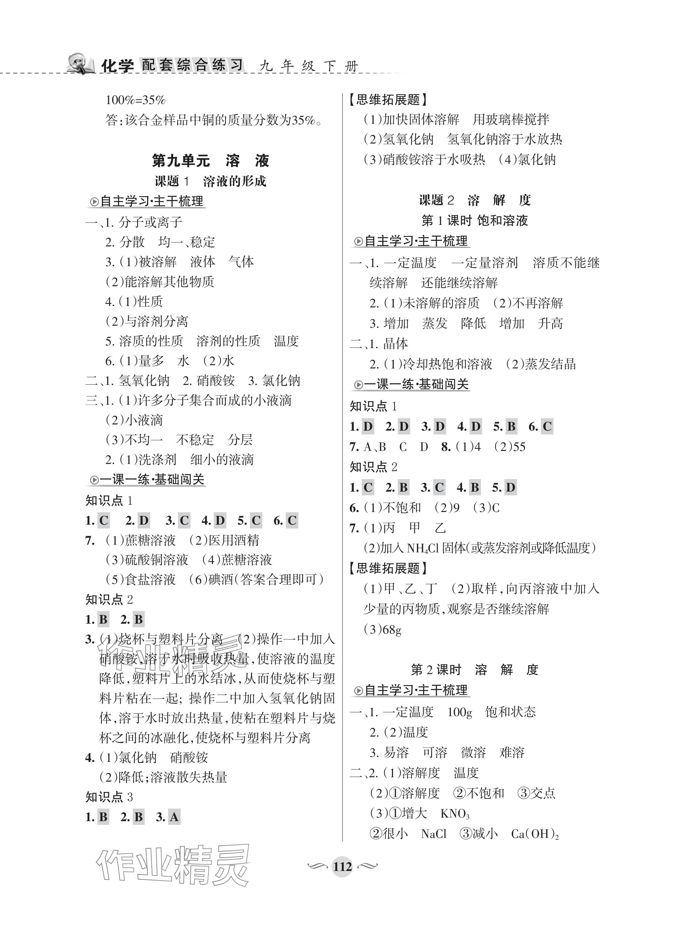 2024年配套綜合練習(xí)甘肅九年級(jí)化學(xué)下冊(cè)人教版 參考答案第4頁(yè)