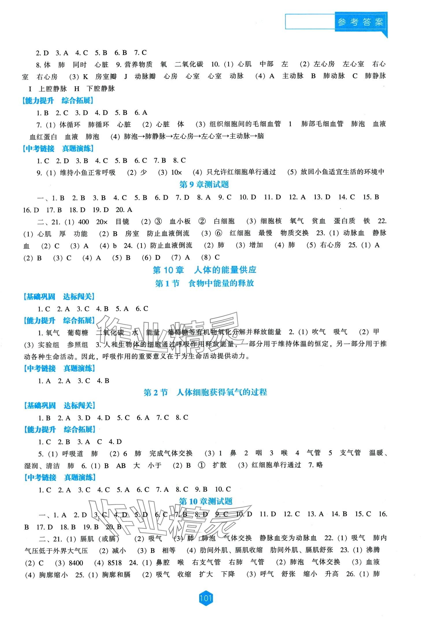 2024年新课程能力培养七年级生物下册北师大版 第3页