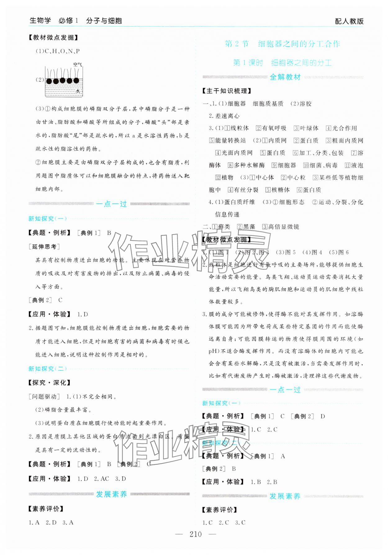 2023年新课程学习指导高中生物必修1人教版 第6页