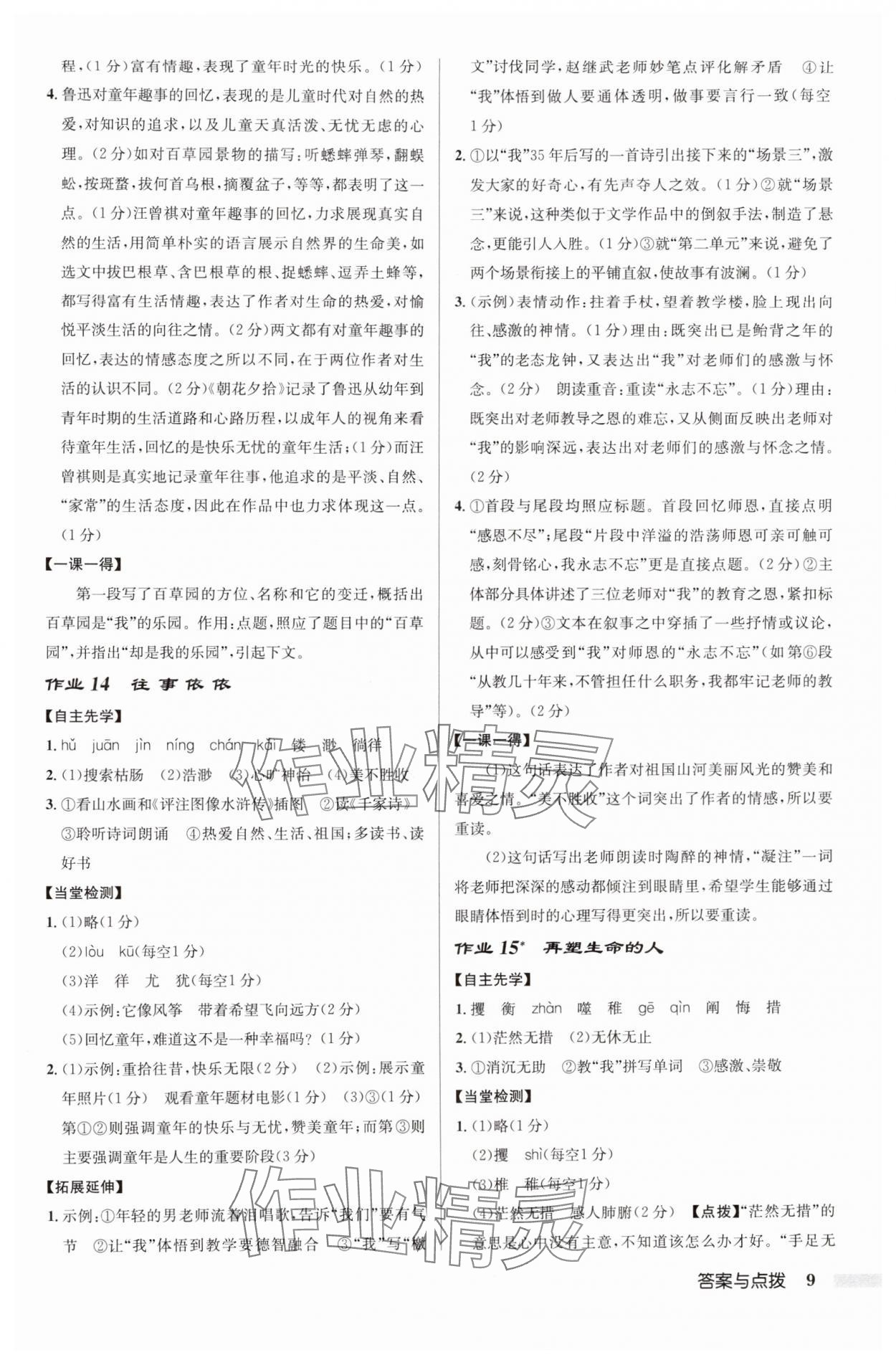 2024年啟東中學作業(yè)本七年級語文上冊人教版蘇北專版 參考答案第9頁