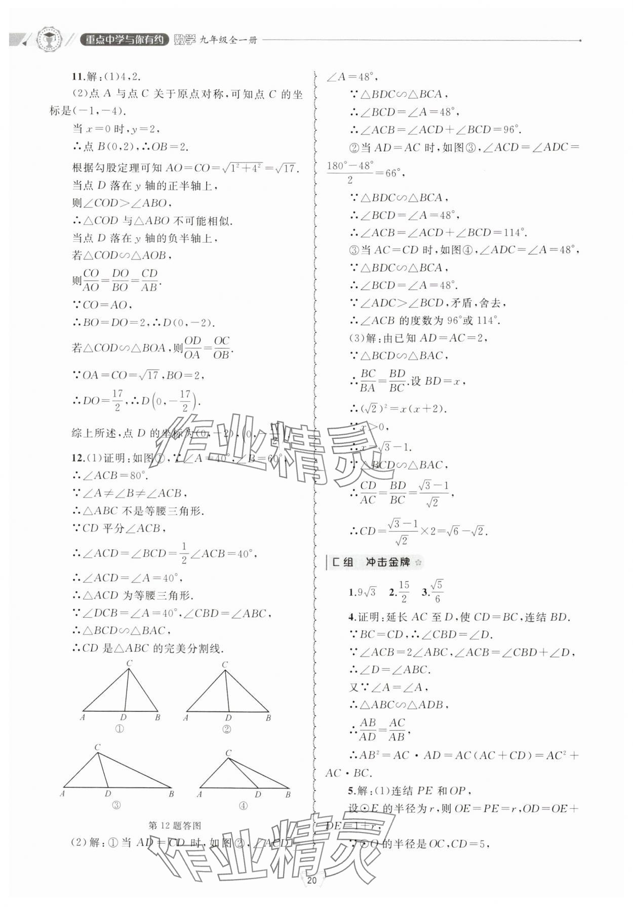 2024年重點中學(xué)與你有約九年級數(shù)學(xué)全一冊浙教版 參考答案第20頁