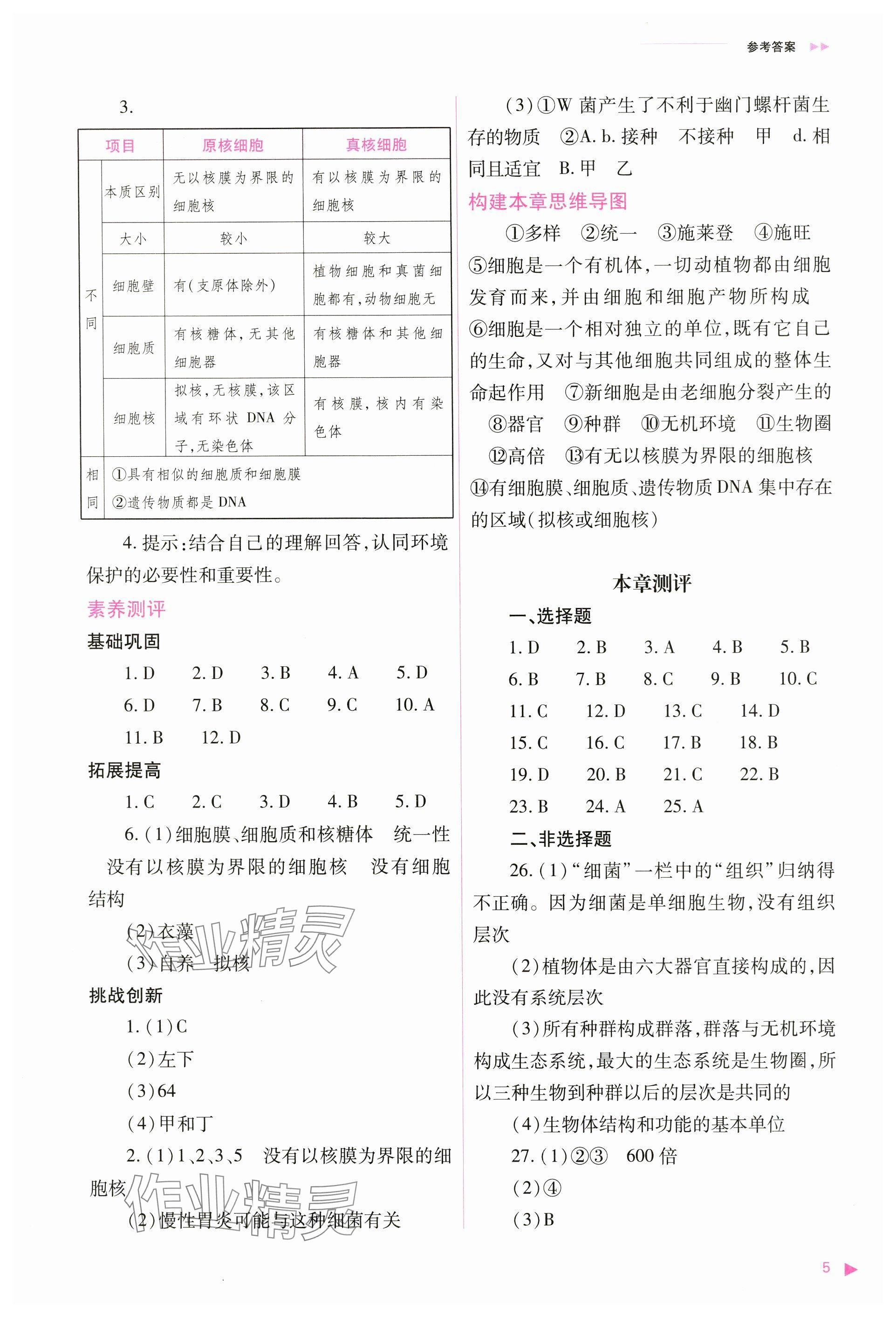 2024年普通高中新課程同步練習(xí)冊高中生物必修1人教版 參考答案第5頁