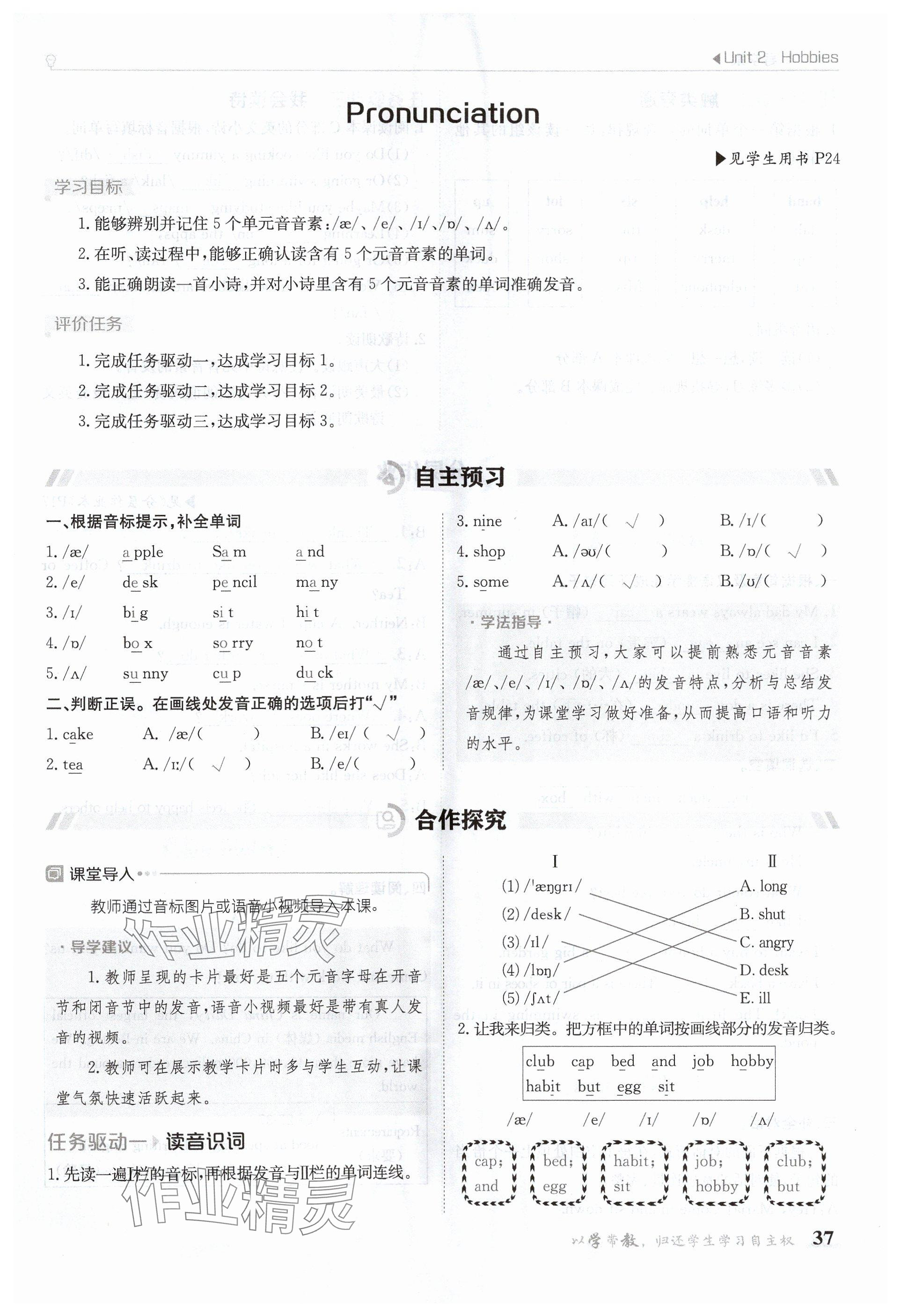 2024年金太陽導(dǎo)學(xué)案七年級英語上冊譯林版 參考答案第37頁