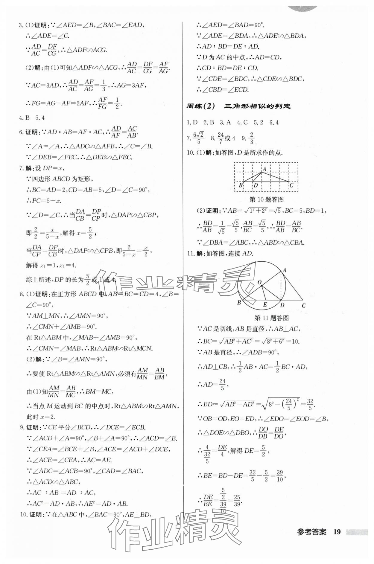 2024年启东中学作业本九年级数学下册苏科版 第19页