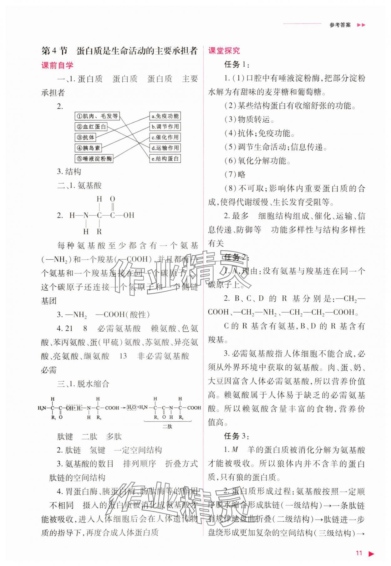 2023年普通高中新課程同步練習(xí)冊(cè)高中生物必修1人教版 參考答案第11頁(yè)