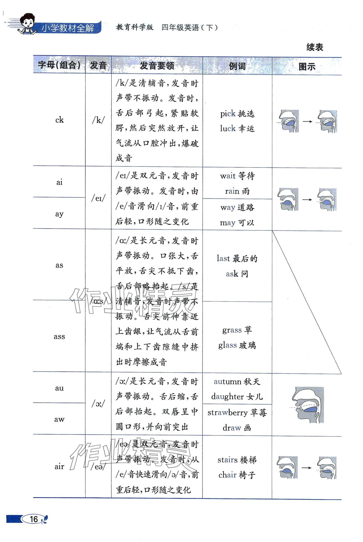 2024年教材课本四年级英语下册教科版 第16页