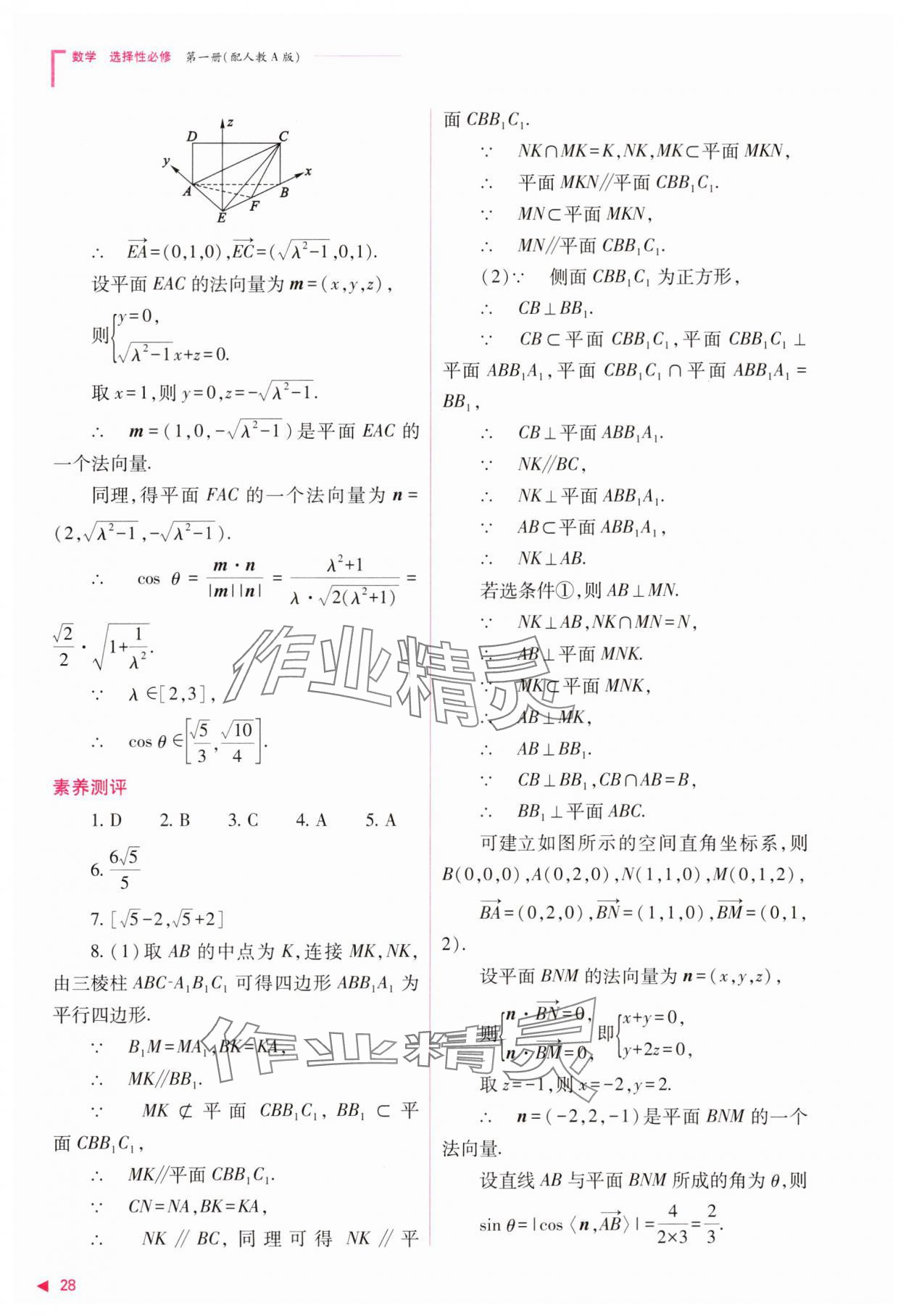 2023年普通高中新课程同步练习册高中数学选择性必修第一册人教版 参考答案第28页