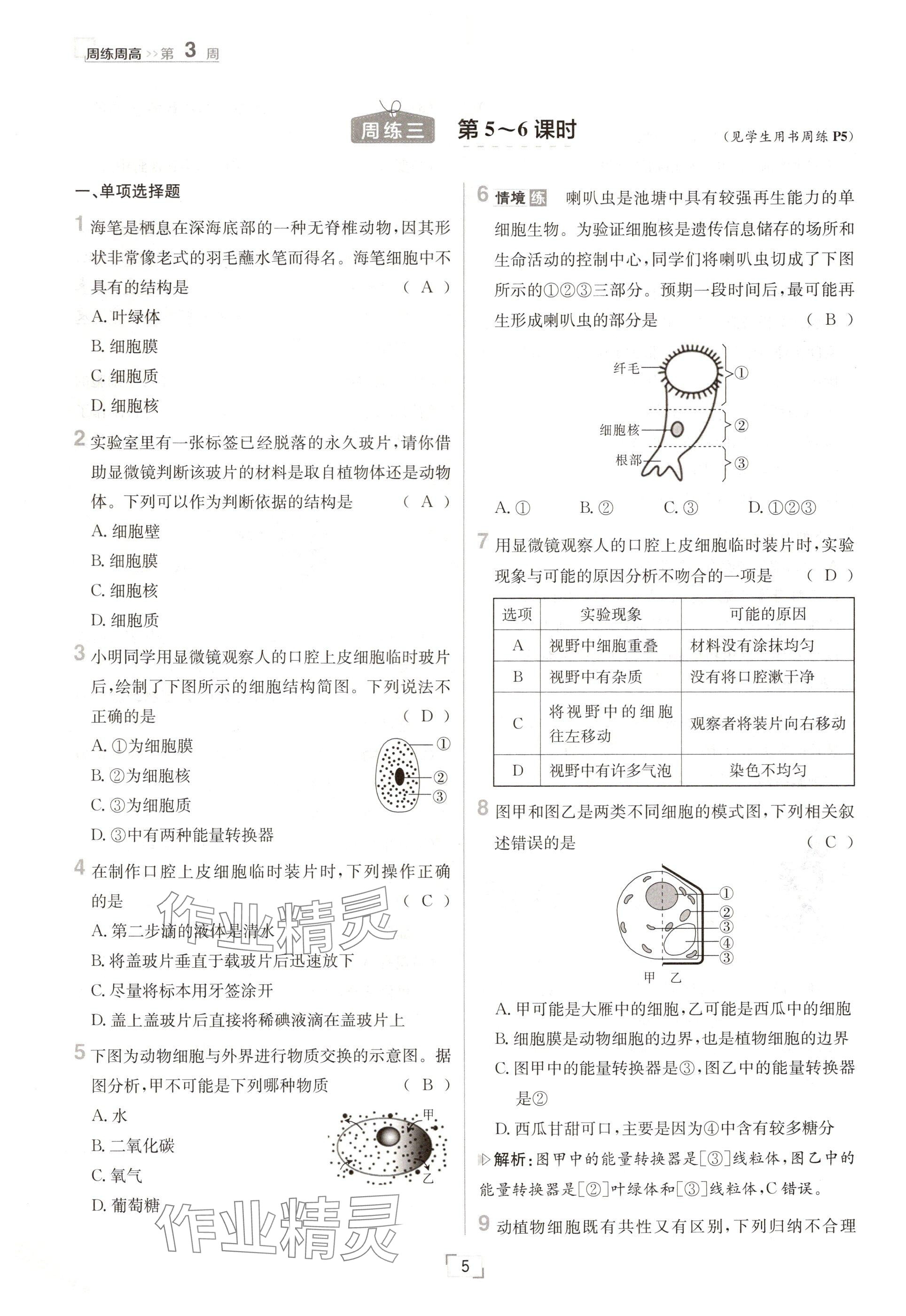 2024年日清周練七年級(jí)生物上冊(cè)人教版 參考答案第5頁(yè)