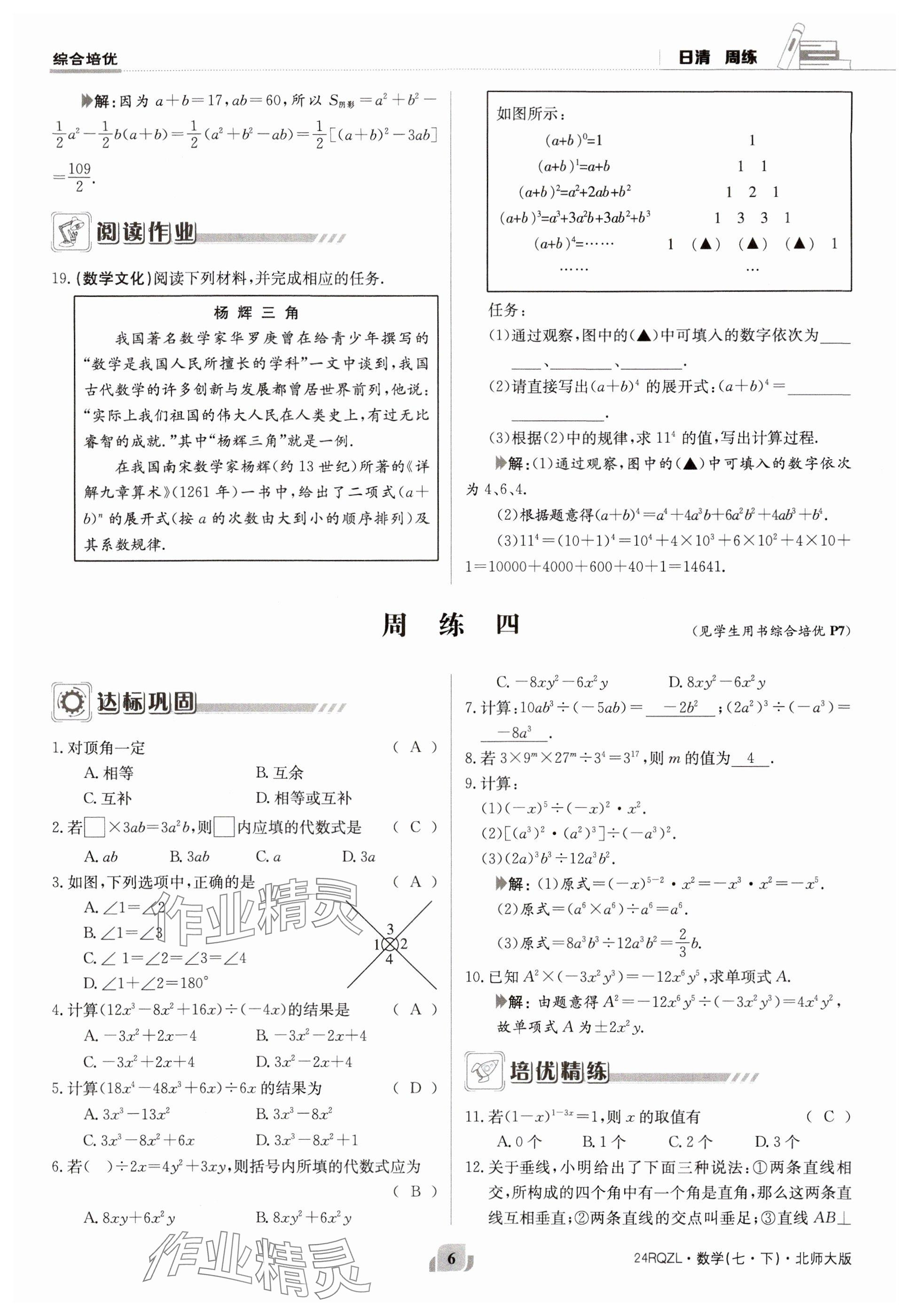 2024年日清周练七年级数学下册北师大版 参考答案第6页