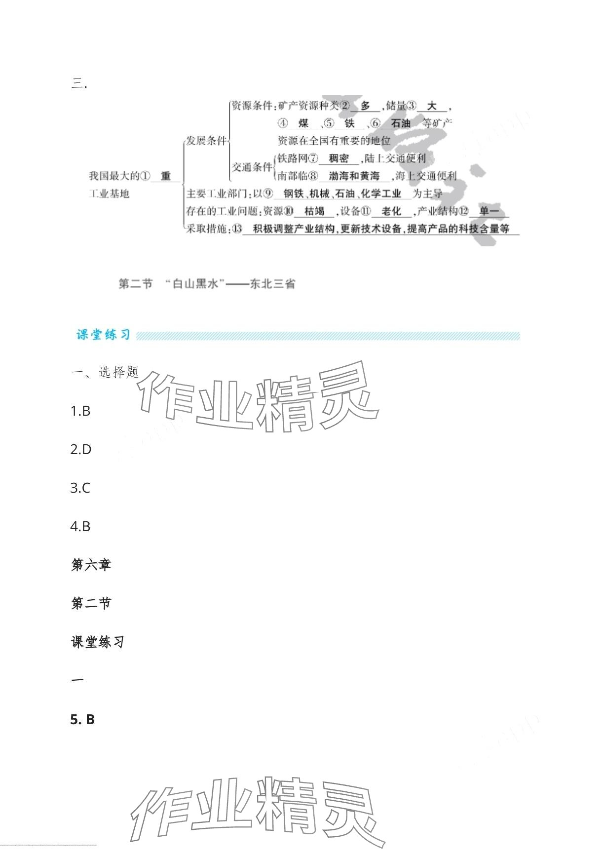 2024年基礎(chǔ)訓(xùn)練大象出版社八年級地理下冊人教版 第8頁