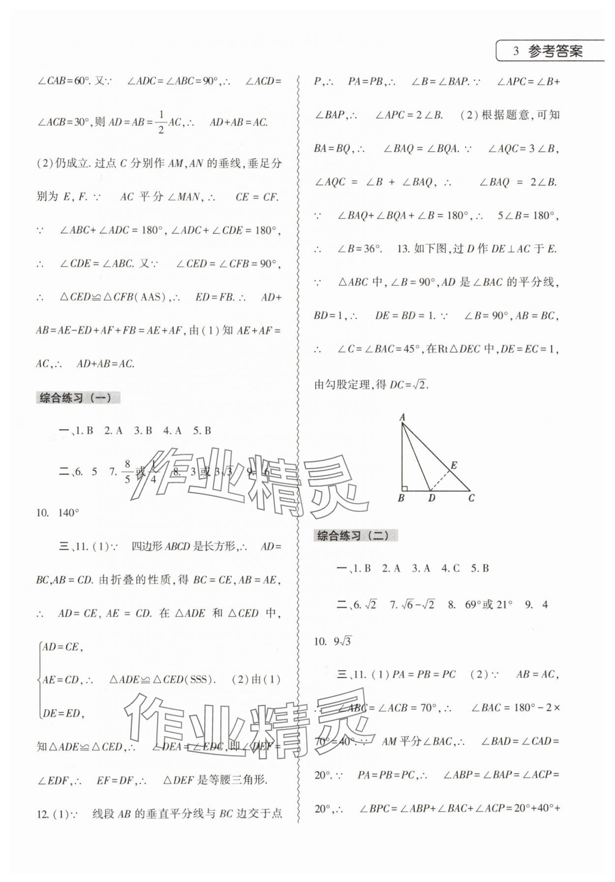 2024年暑假作業(yè)本大象出版社八年級(jí)數(shù)學(xué)北師大版 參考答案第3頁