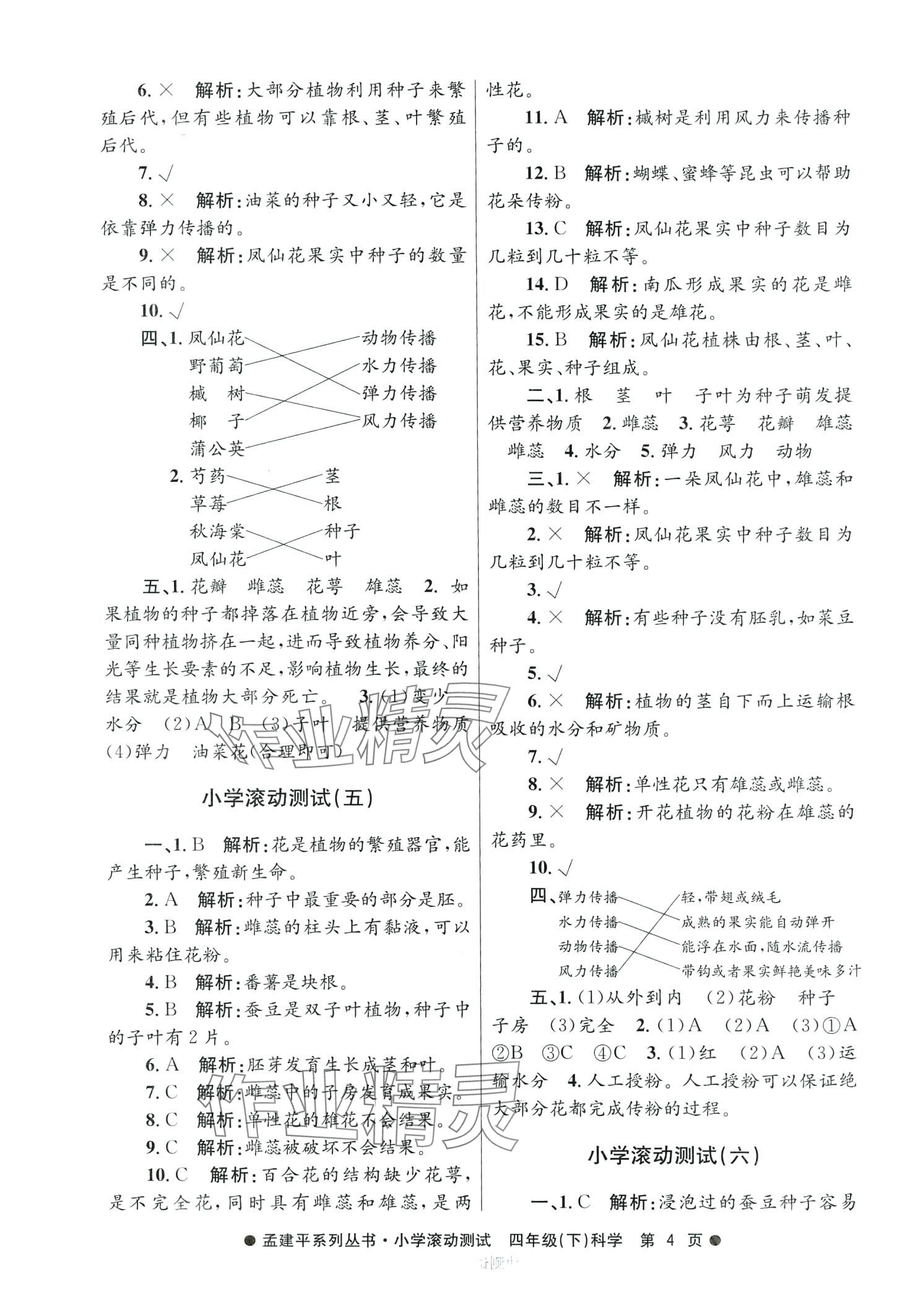 2024年孟建平小学滚动测试四年级科学下册教科版 第4页