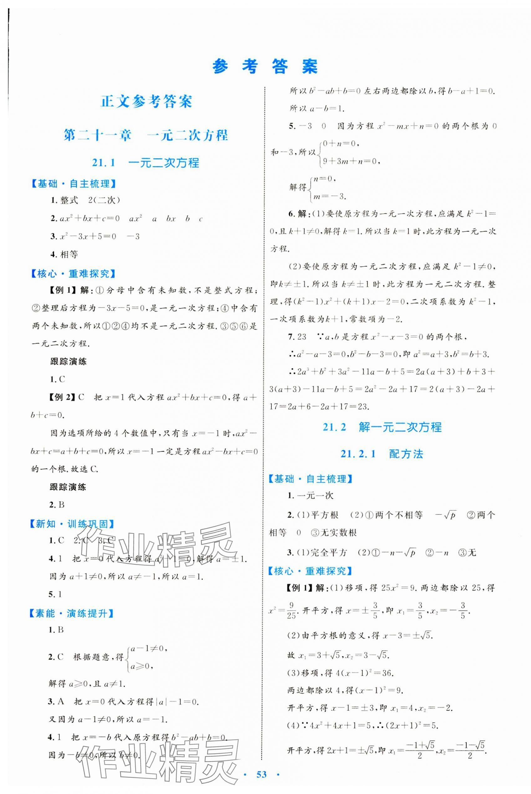 2023年同步學(xué)習(xí)目標(biāo)與檢測九年級數(shù)學(xué)全一冊人教版 第1頁