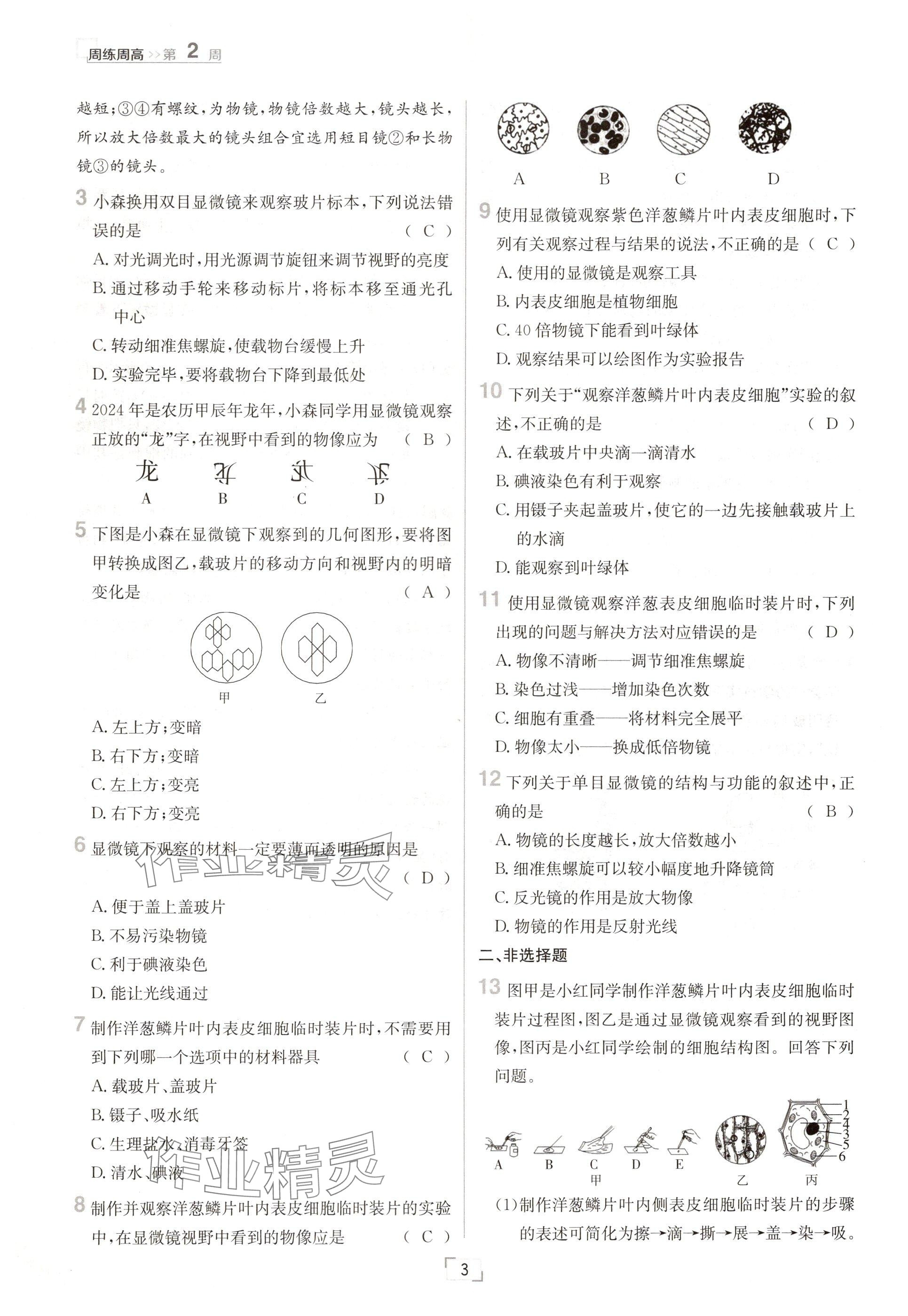 2024年日清周練七年級(jí)生物上冊人教版 參考答案第3頁