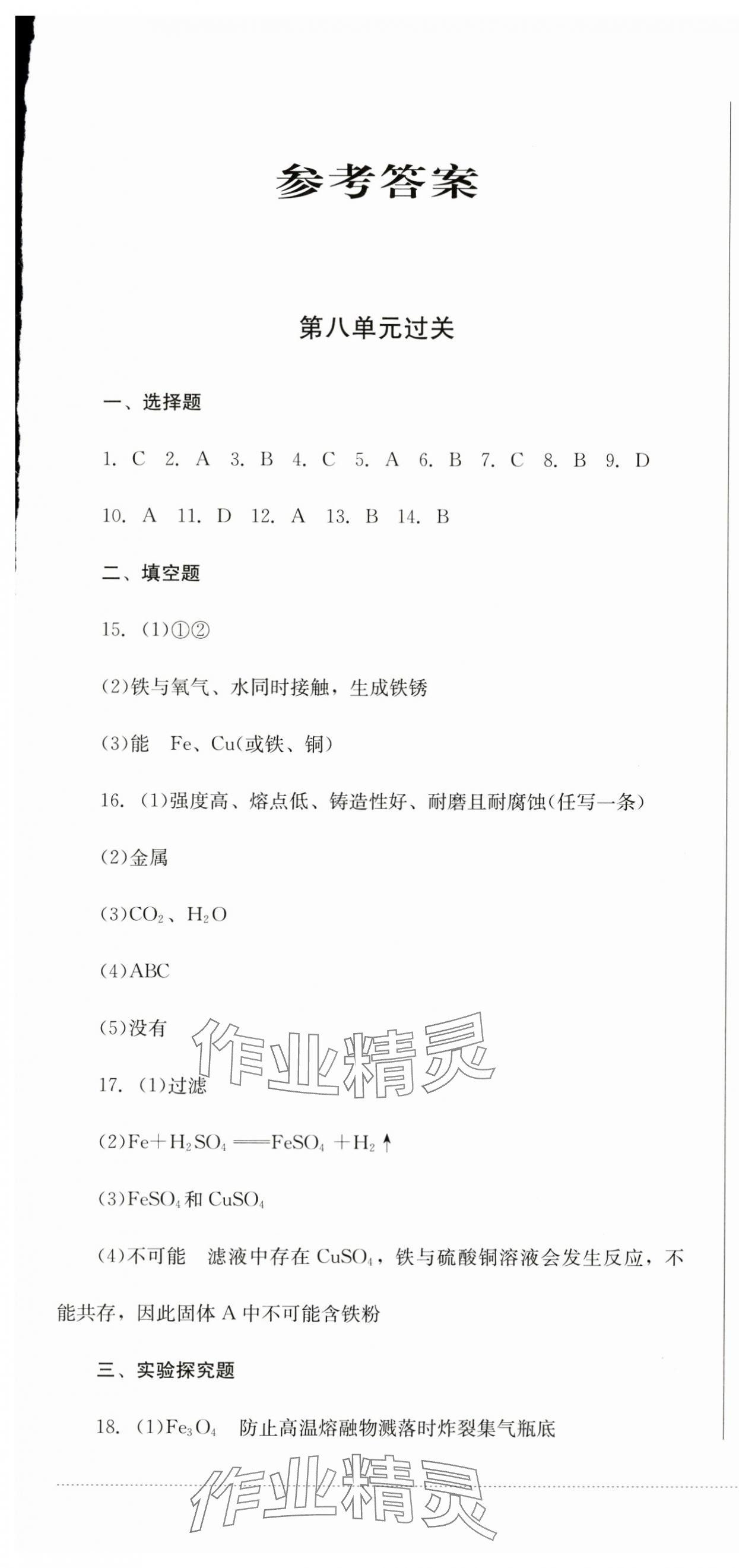 2024年精練過關四川教育出版社九年級化學下冊人教版 第1頁