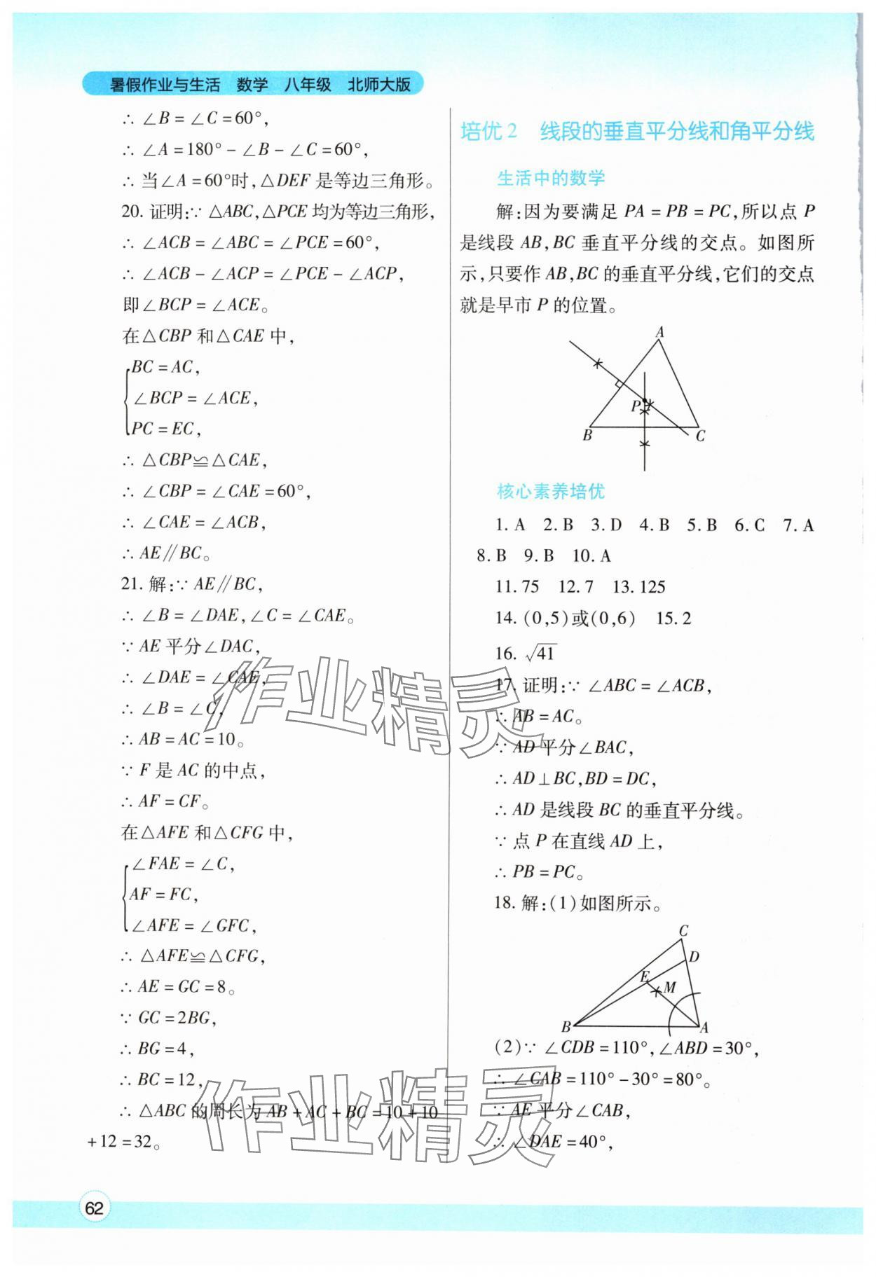 2024年暑假作業(yè)與生活八年級(jí)數(shù)學(xué)北師大版陜西師范大學(xué)出版總社有限公司 第2頁(yè)