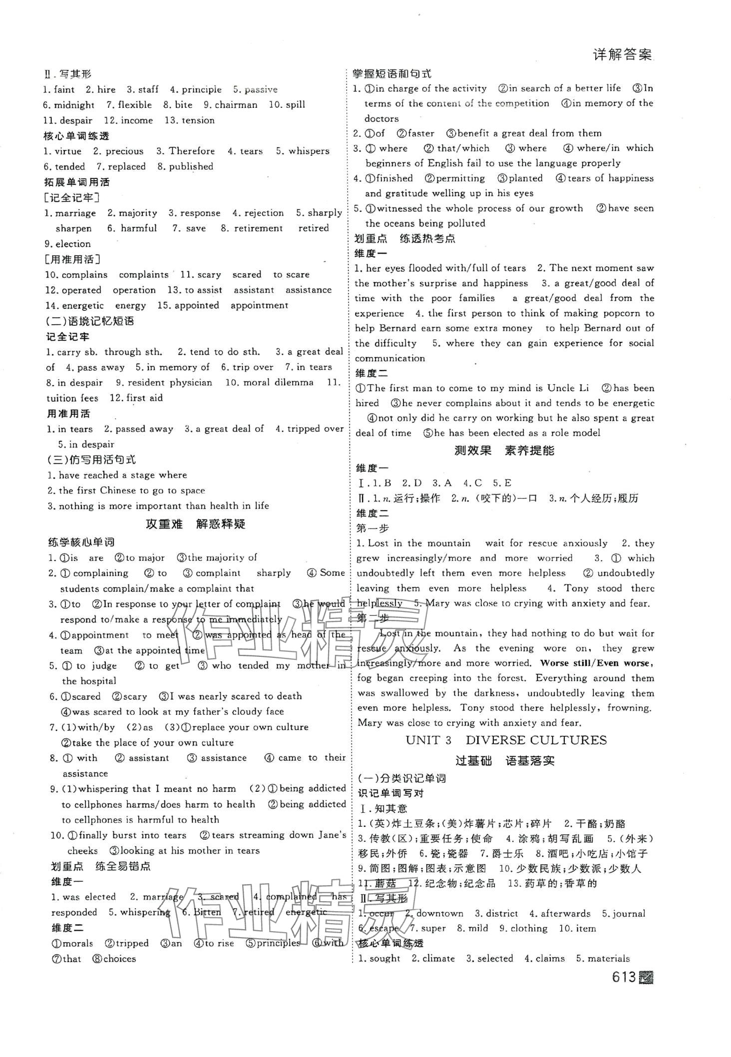 2024年師說高中全程復(fù)習(xí)構(gòu)想高三英語 第13頁