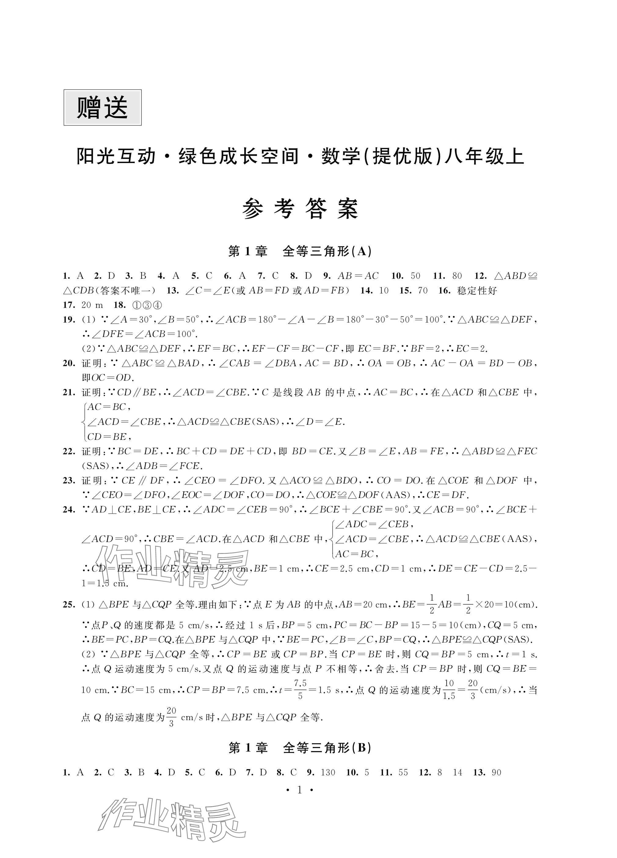 2024年阳光互动绿色成长空间八年级数学上册苏科版提优版 参考答案第1页