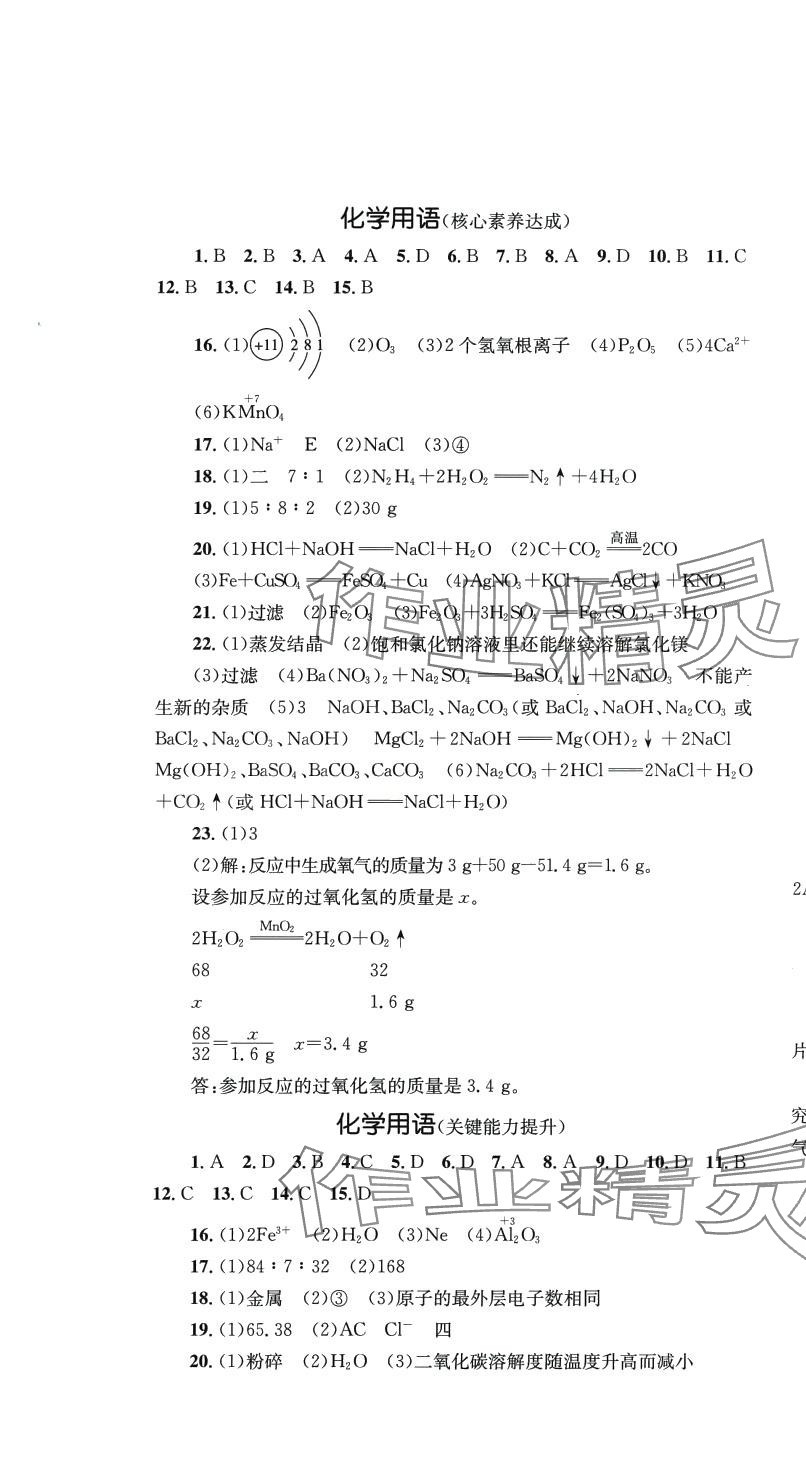 2024年学科素养与能力提升九年级化学下册人教版 第1页