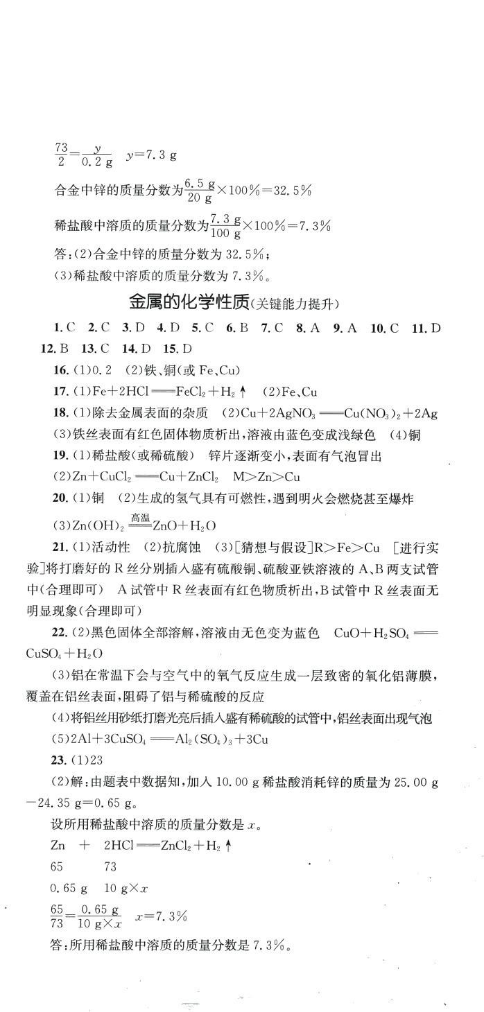 2024年学科素养与能力提升九年级化学下册人教版 第3页