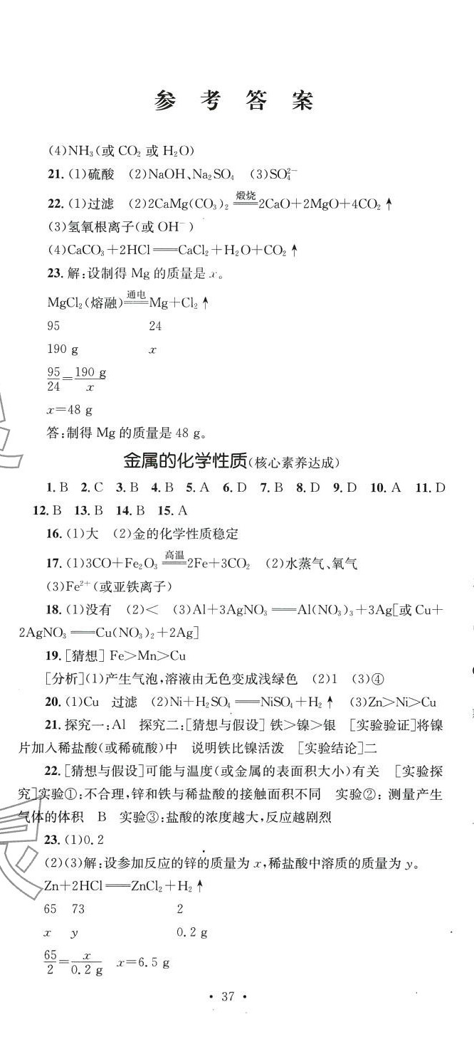 2024年学科素养与能力提升九年级化学下册人教版 第2页