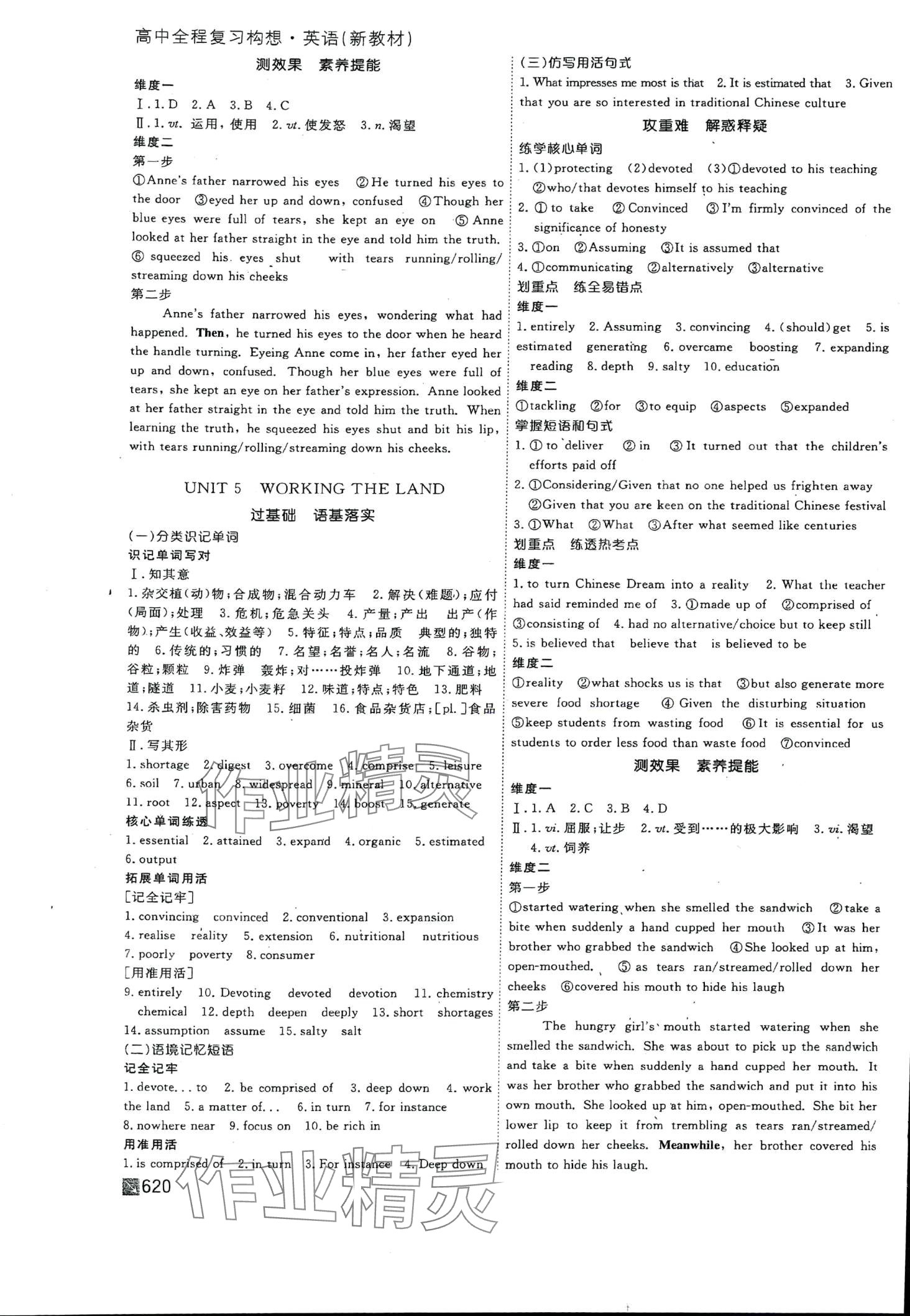 2024年師說高中全程復(fù)習(xí)構(gòu)想高三英語 第20頁