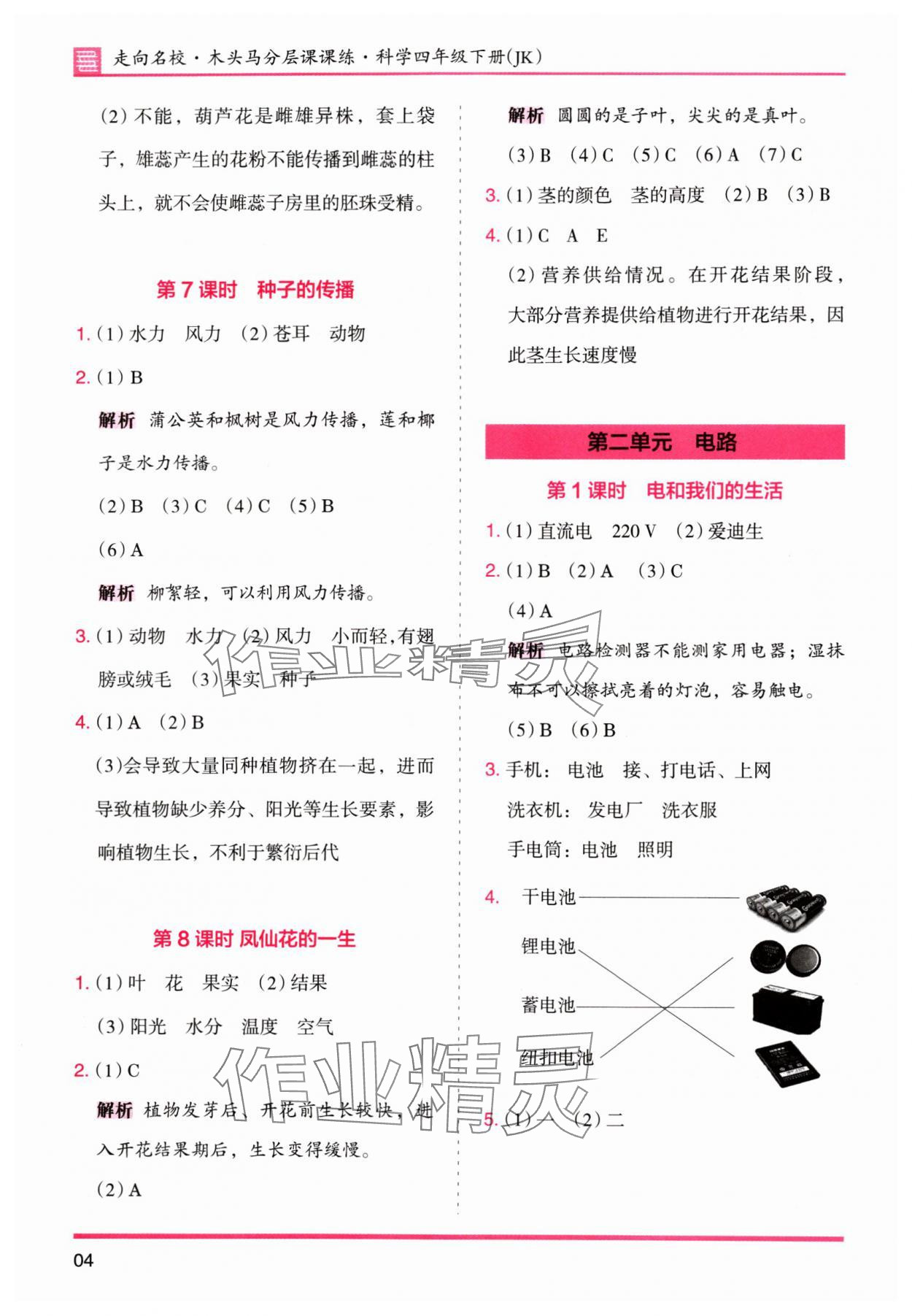 2024年木头马分层课课练四年级科学下册教科版 参考答案第4页