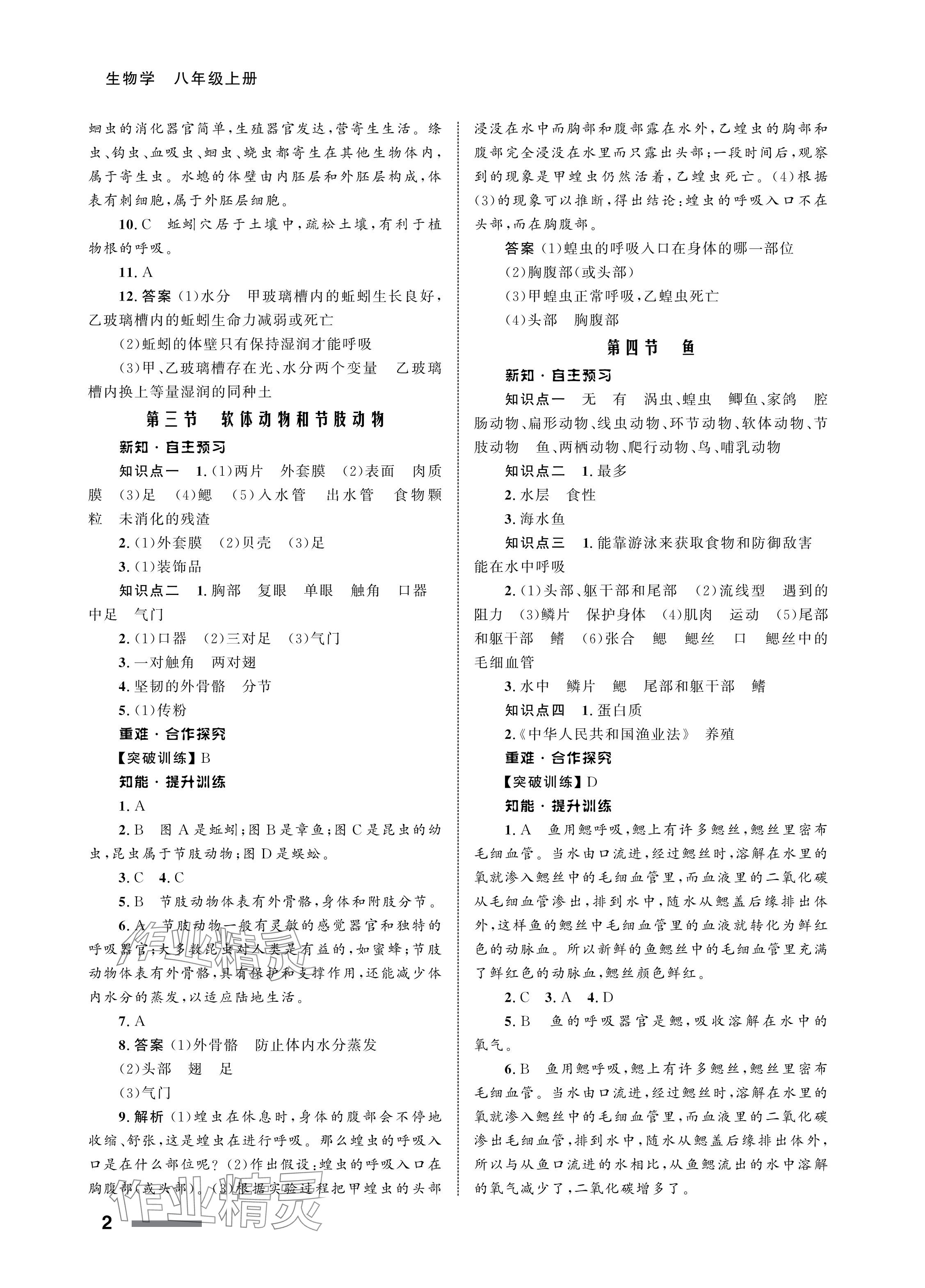 2024年配套綜合練習(xí)甘肅八年級(jí)生物上冊(cè)人教版 參考答案第2頁(yè)