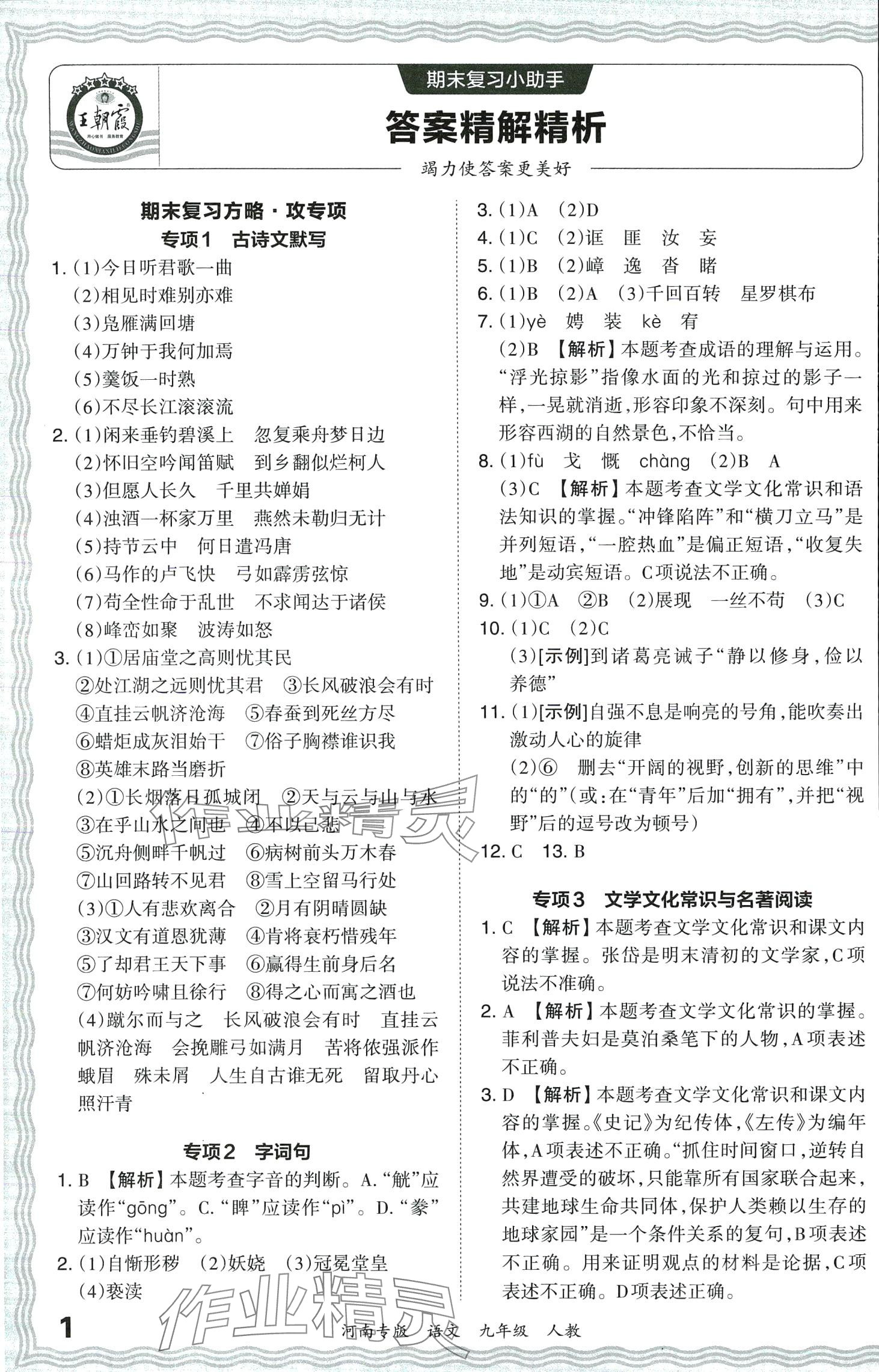 2024年王朝霞各地期末试卷精选九年级语文下册人教版河南专版 第1页