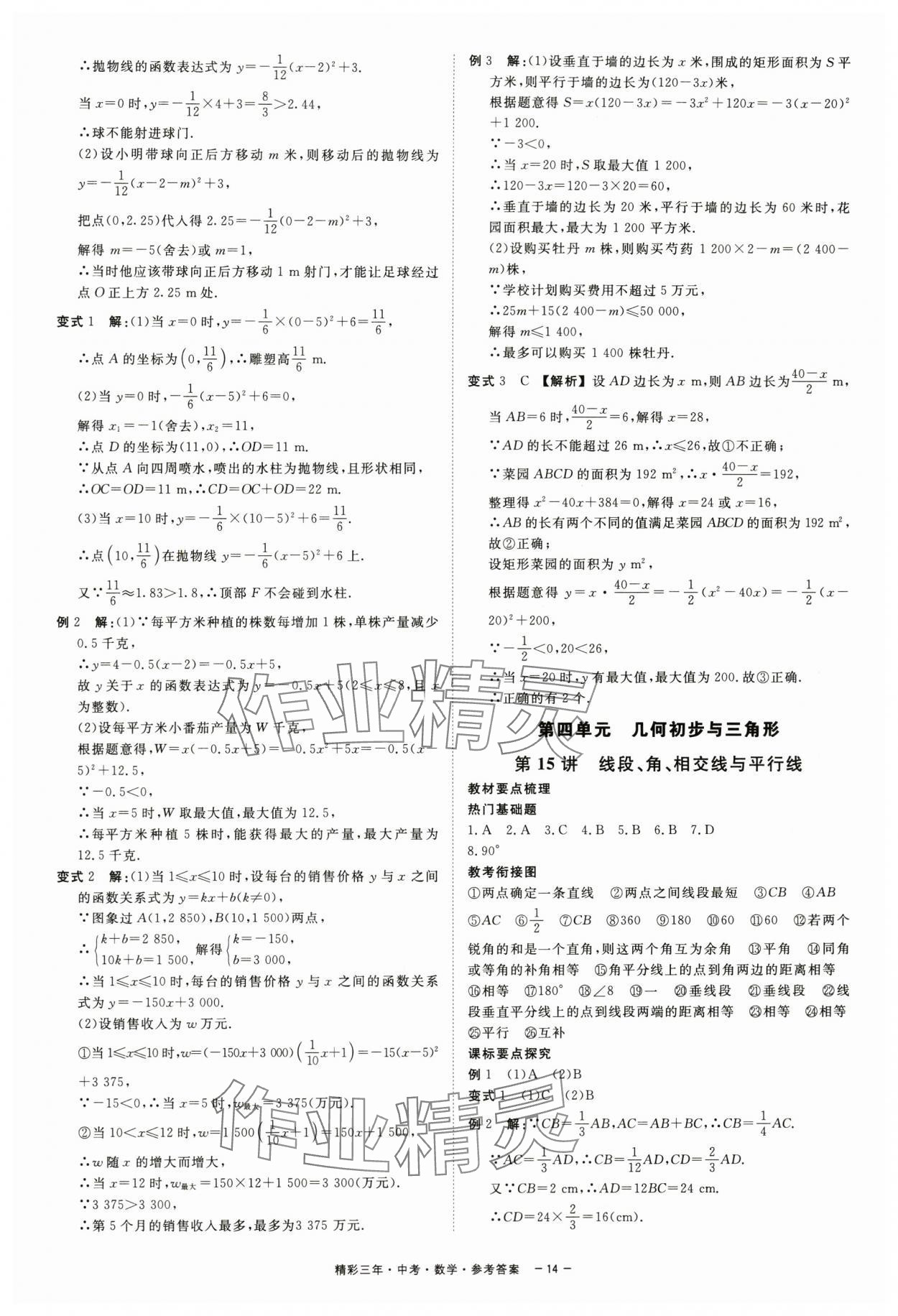 2024年精彩三年中考总复习数学 第14页