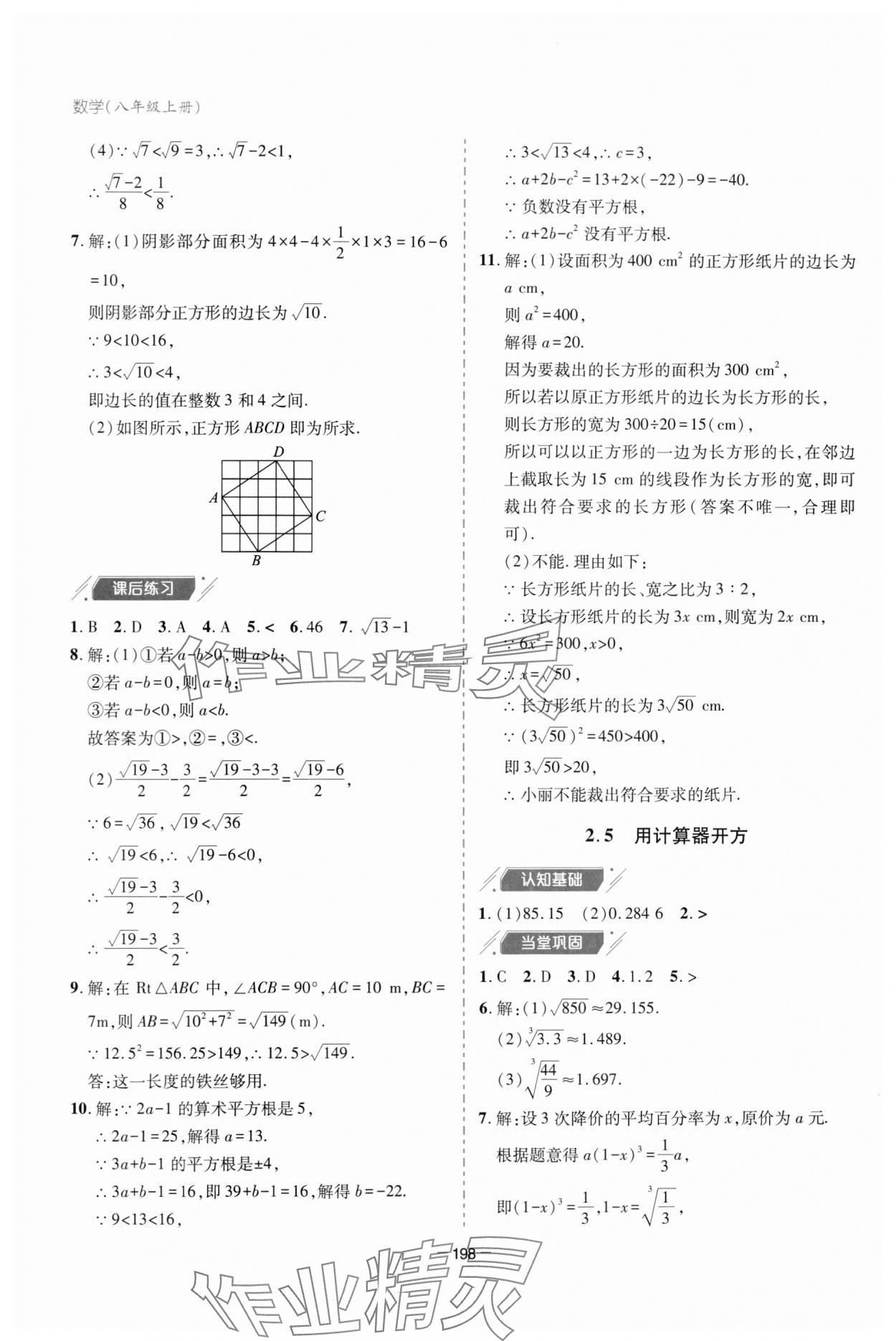 2023年新课堂学习与探究八年级数学上册北师大版 参考答案第10页