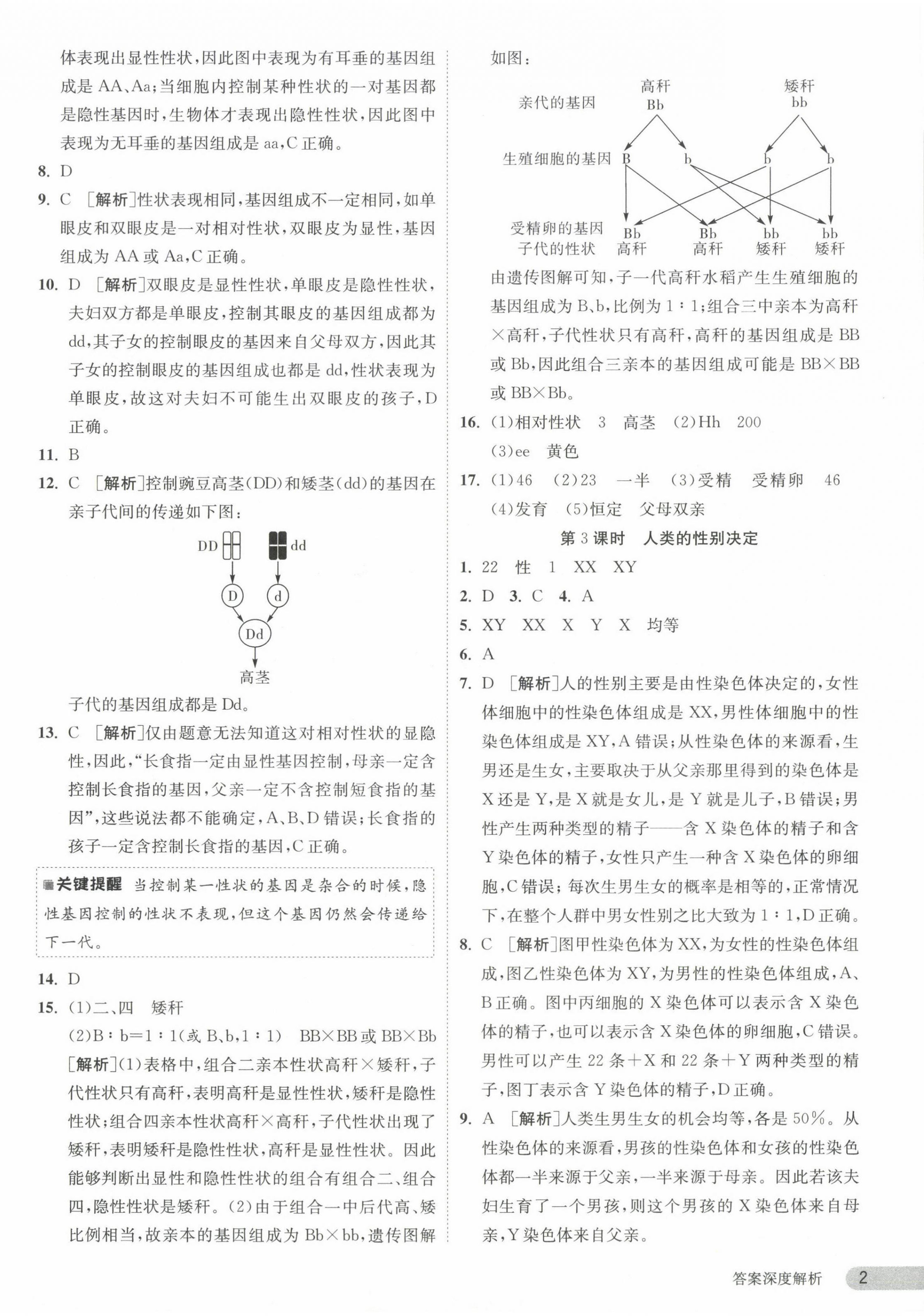 2024年课时训练江苏人民出版社八年级生物下册苏科版 第2页