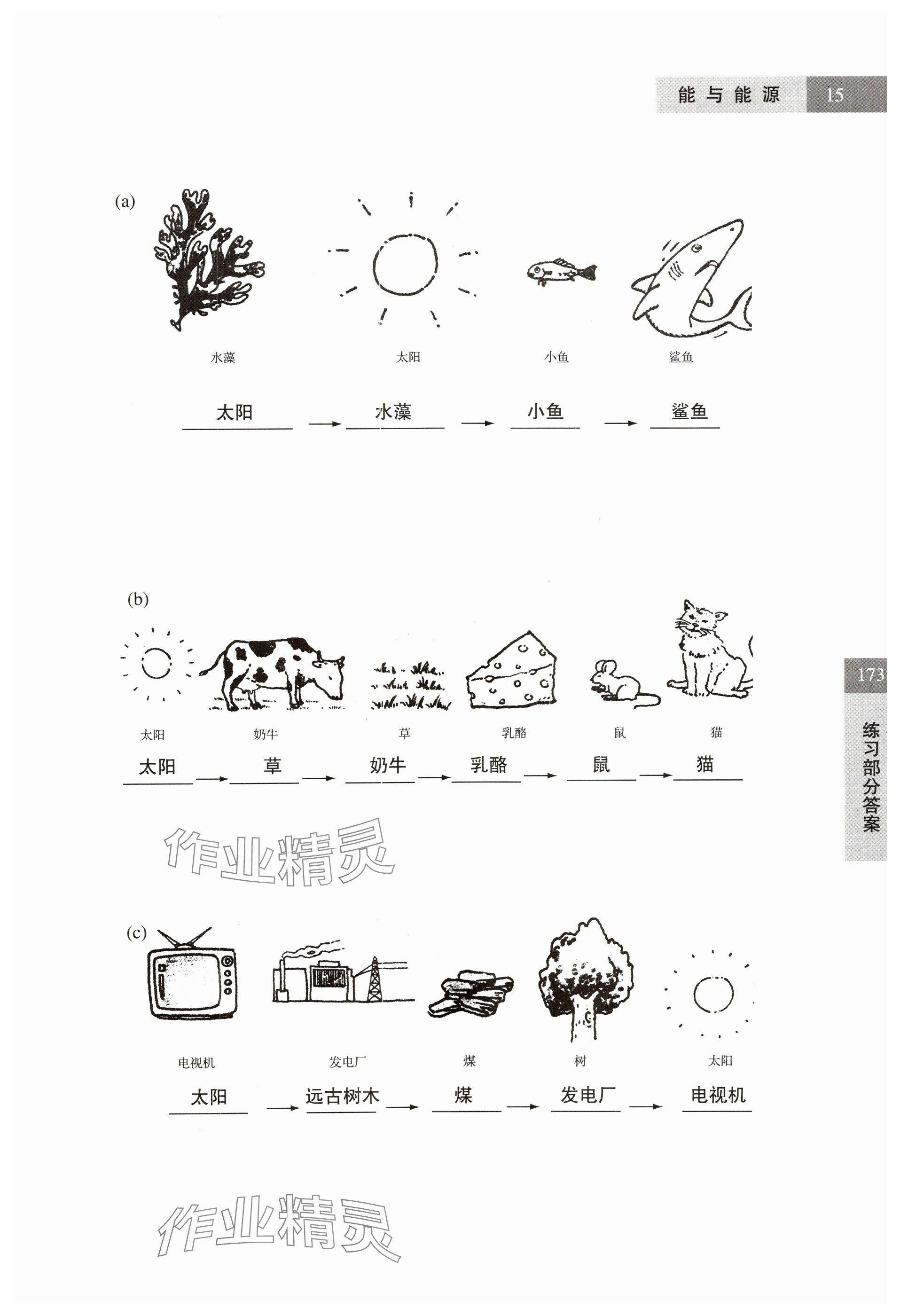 2024年練習(xí)部分六年級科學(xué)第二學(xué)期滬教版54制 參考答案第15頁