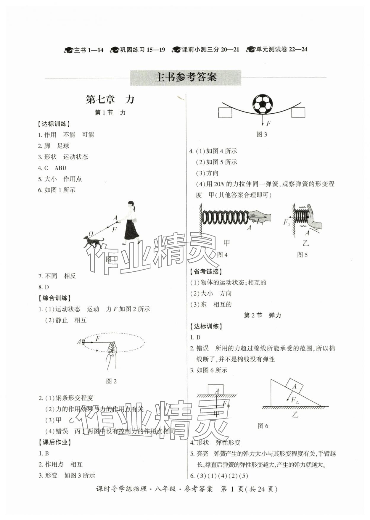 2024年课时导学练八年级物理下册人教版广州专版 第1页