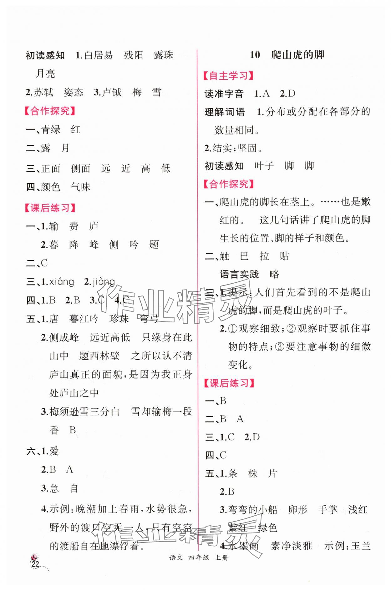 2024年同步導學案課時練四年級語文上冊人教版 第6頁