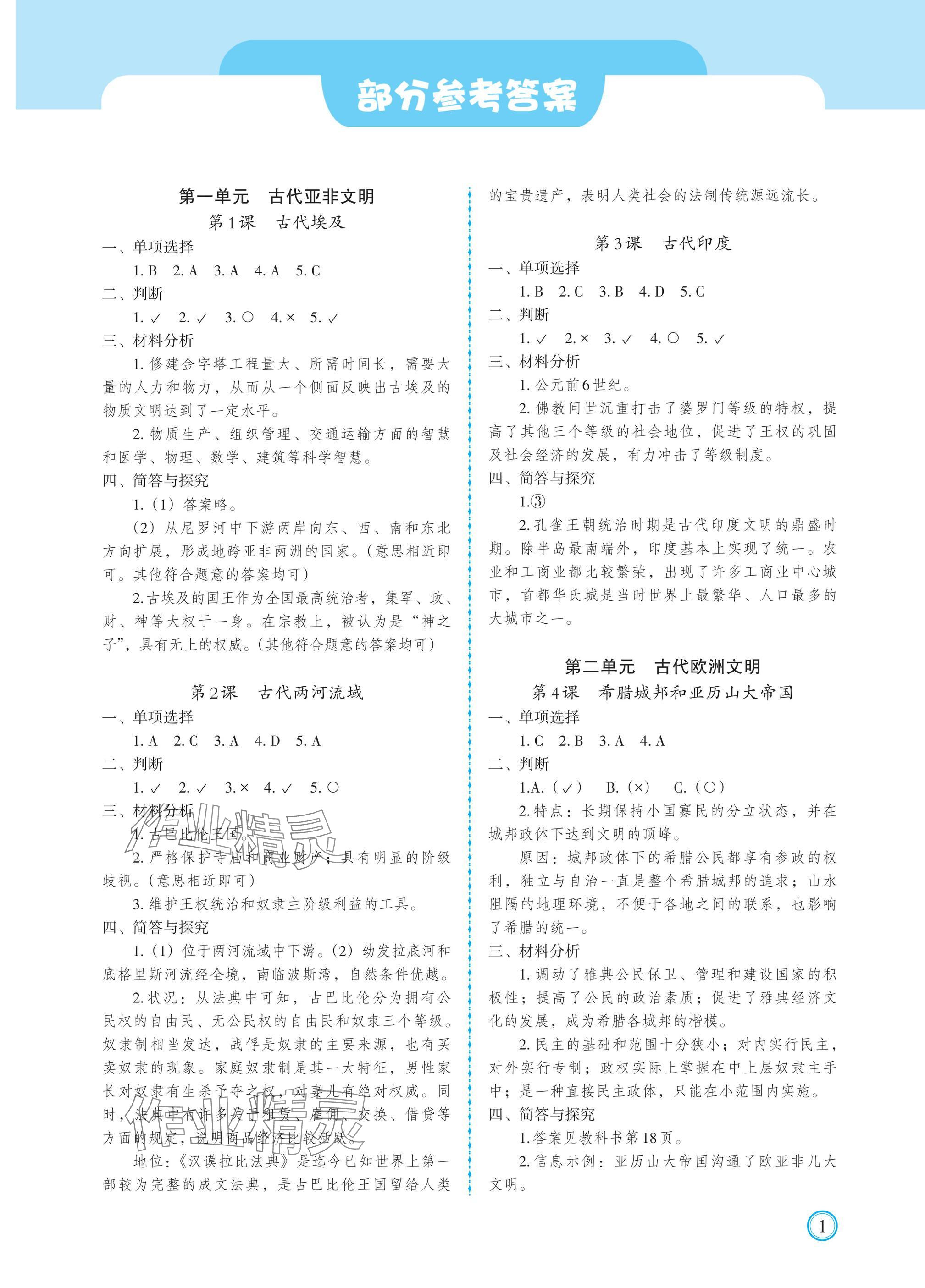 2024年學(xué)習指要九年級歷史上冊人教版 參考答案第1頁