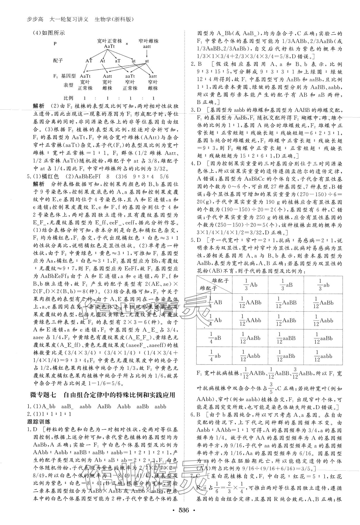 2024年步步高大一轮复习讲义高中生物浙科版 第26页