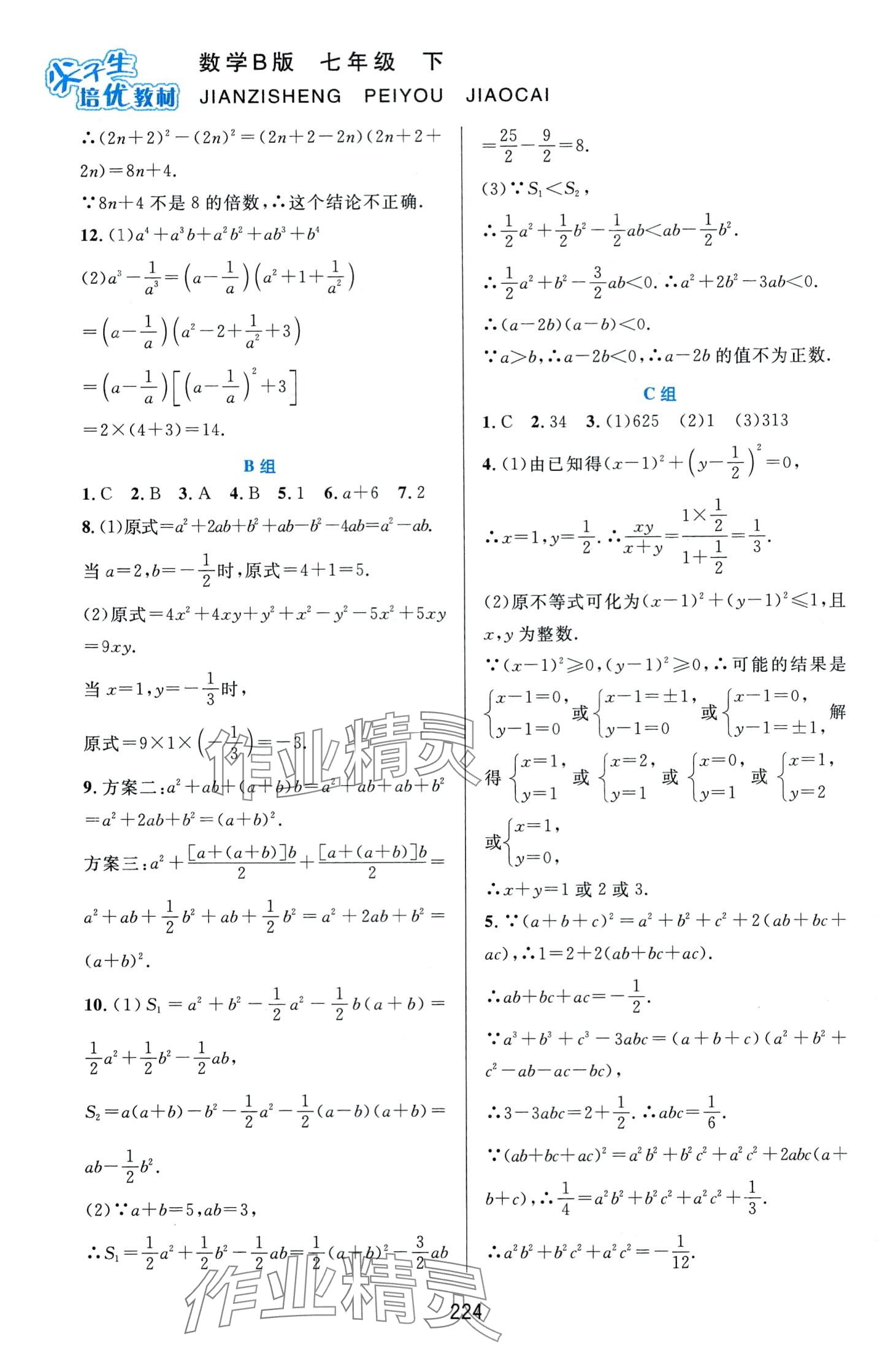 2024年尖子生培优教材七年级数学下册北师大版B版 第4页