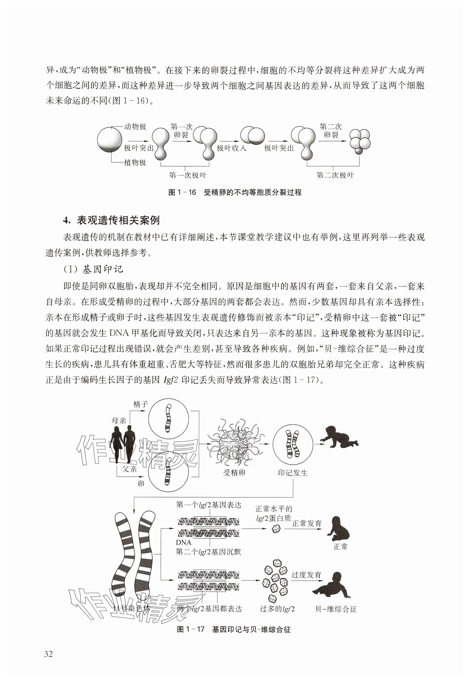 2024年教材课本高中生物必修2沪教版 参考答案第32页