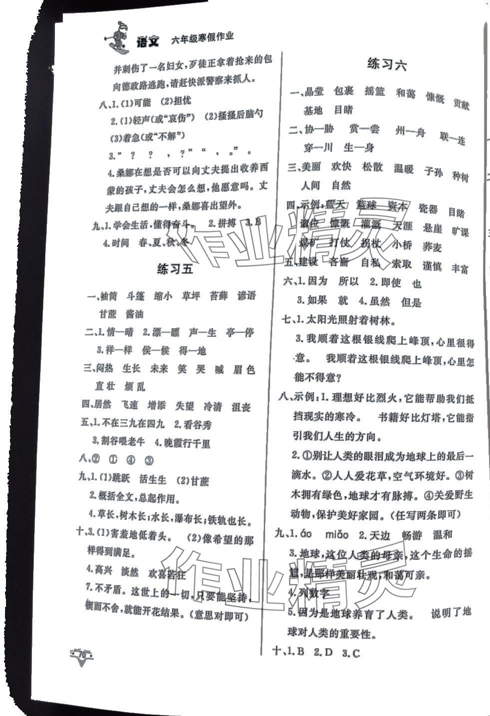2024年寒假作业北京时代华文书局六年级语文人教版 第3页