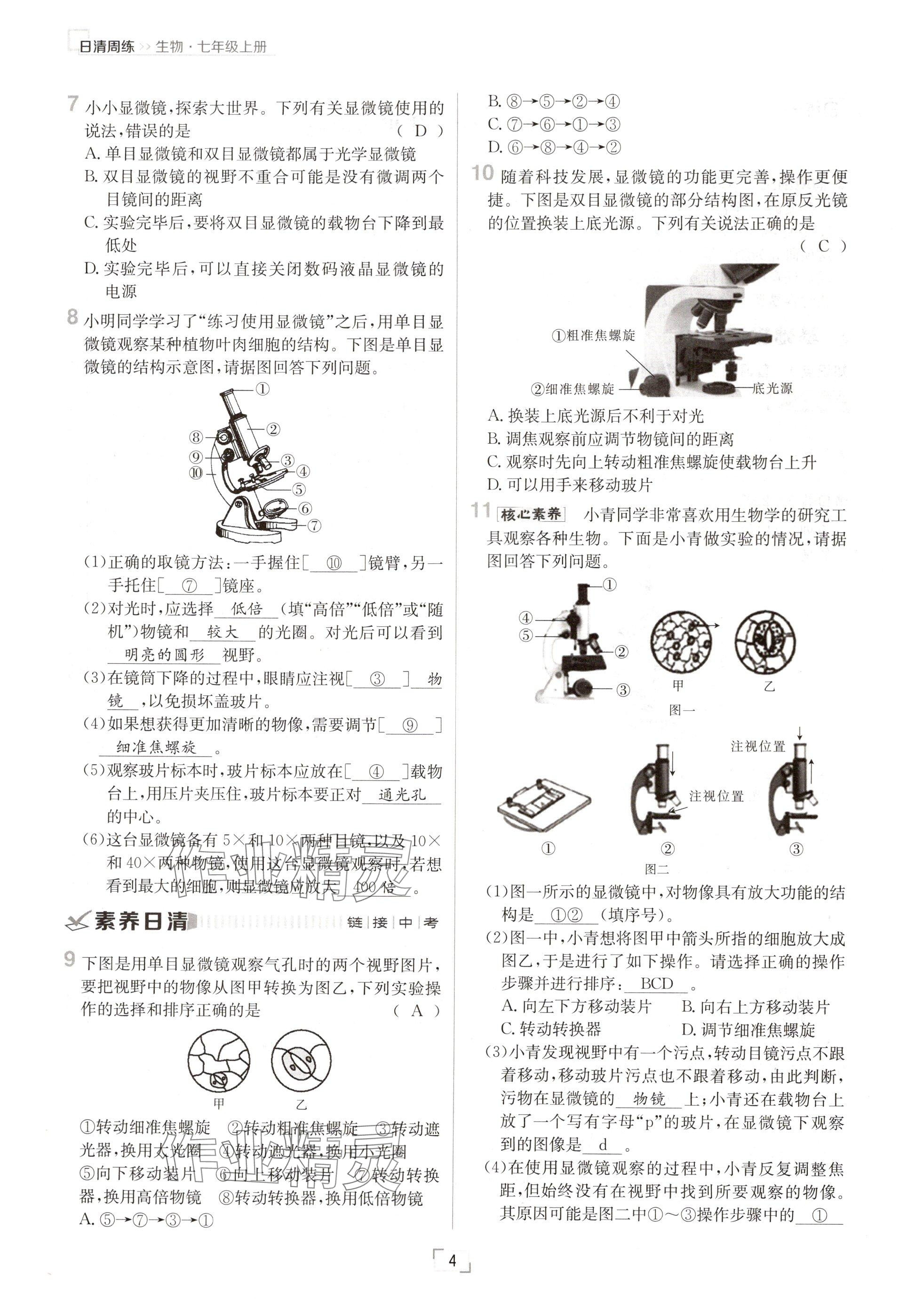 2024年日清周練七年級生物上冊人教版 參考答案第4頁