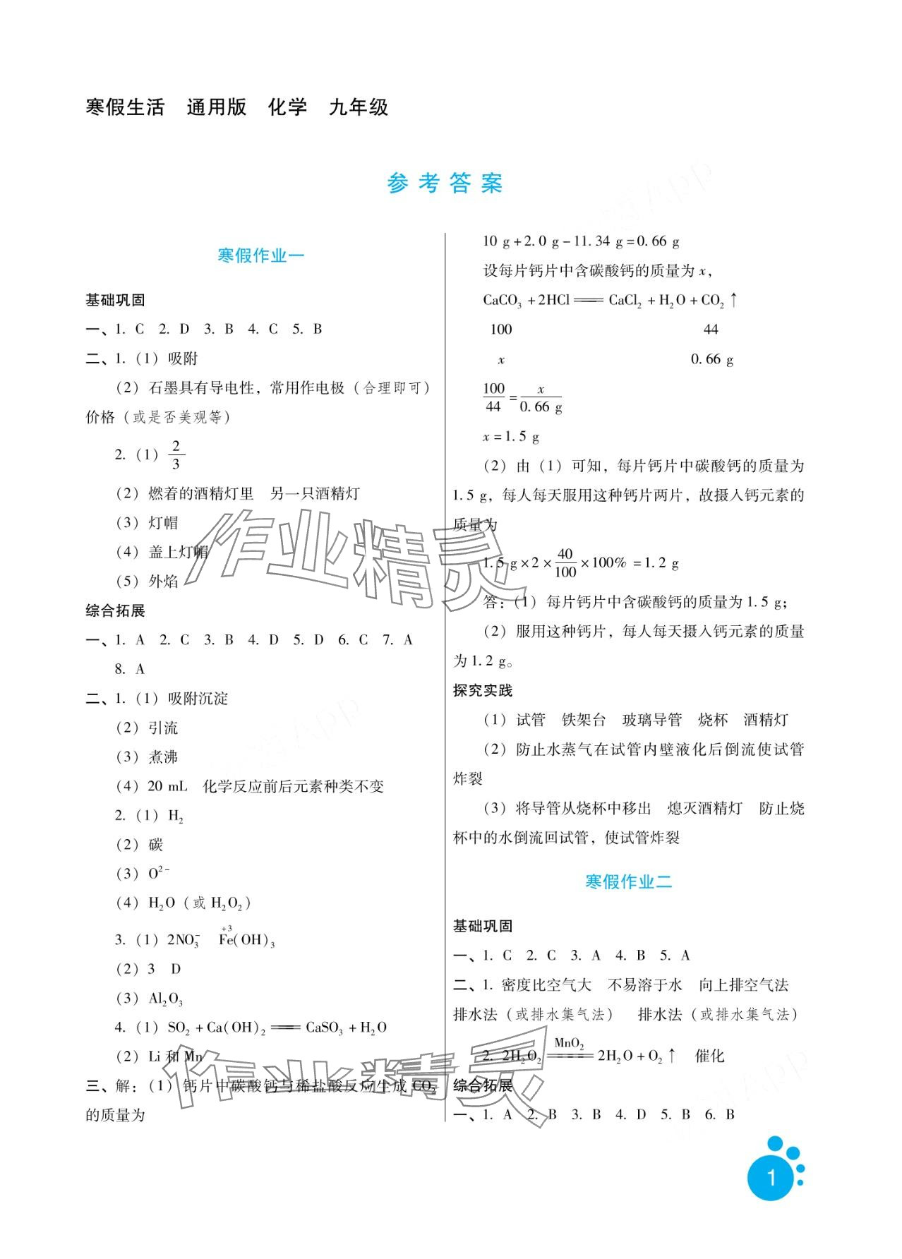 2024年寒假生活河北少年兒童出版社九年級化學 第1頁