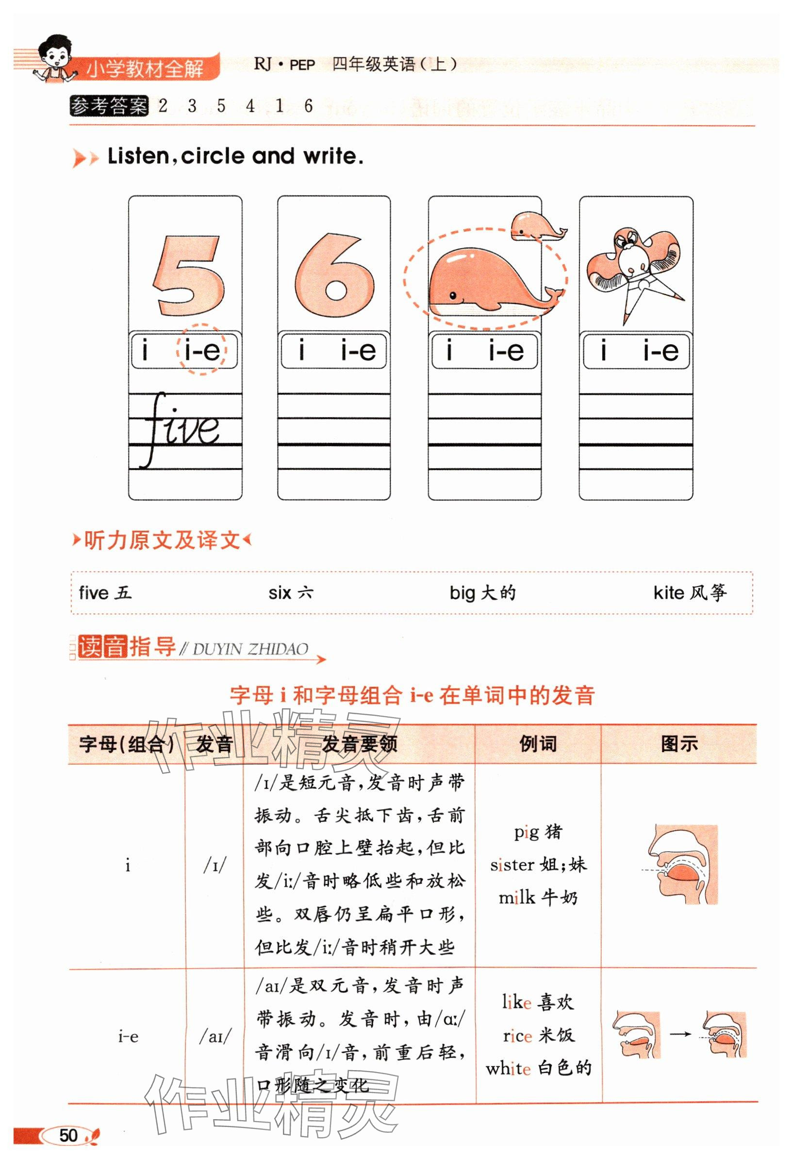 2024年教材課本四年級(jí)英語(yǔ)上冊(cè)人教版 參考答案第50頁(yè)