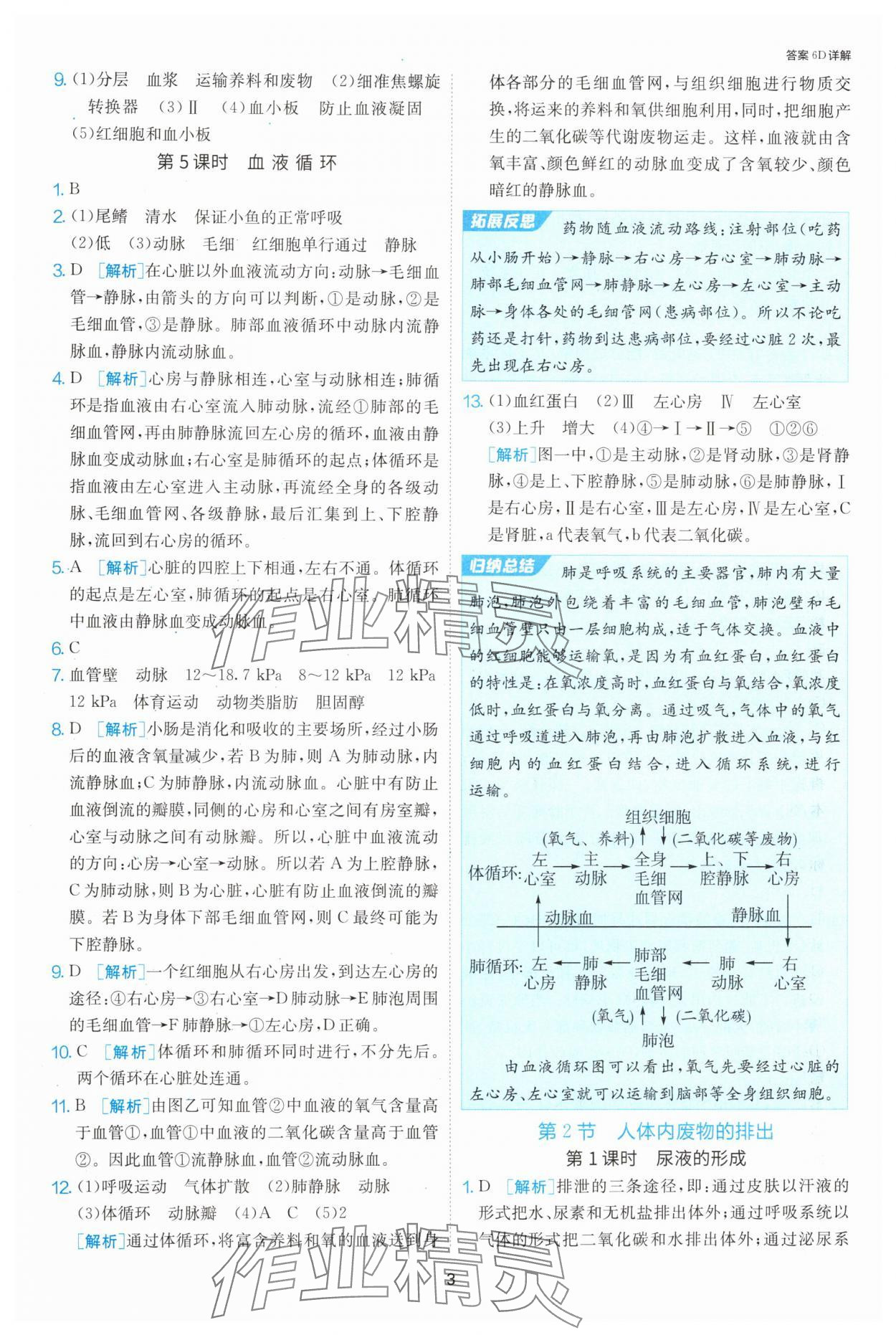 2024年課時訓練江蘇人民出版社八年級生物上冊蘇科版 參考答案第3頁