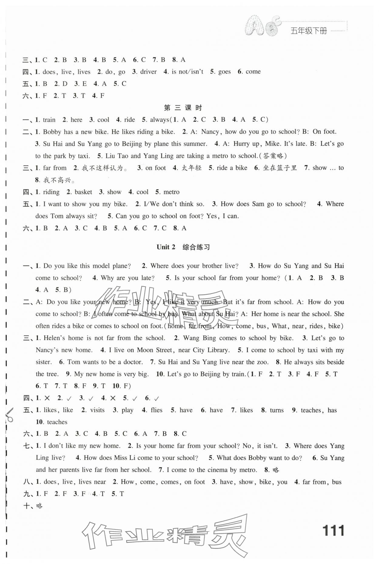 2024年練習(xí)與測試五年級英語下冊譯林版 第3頁