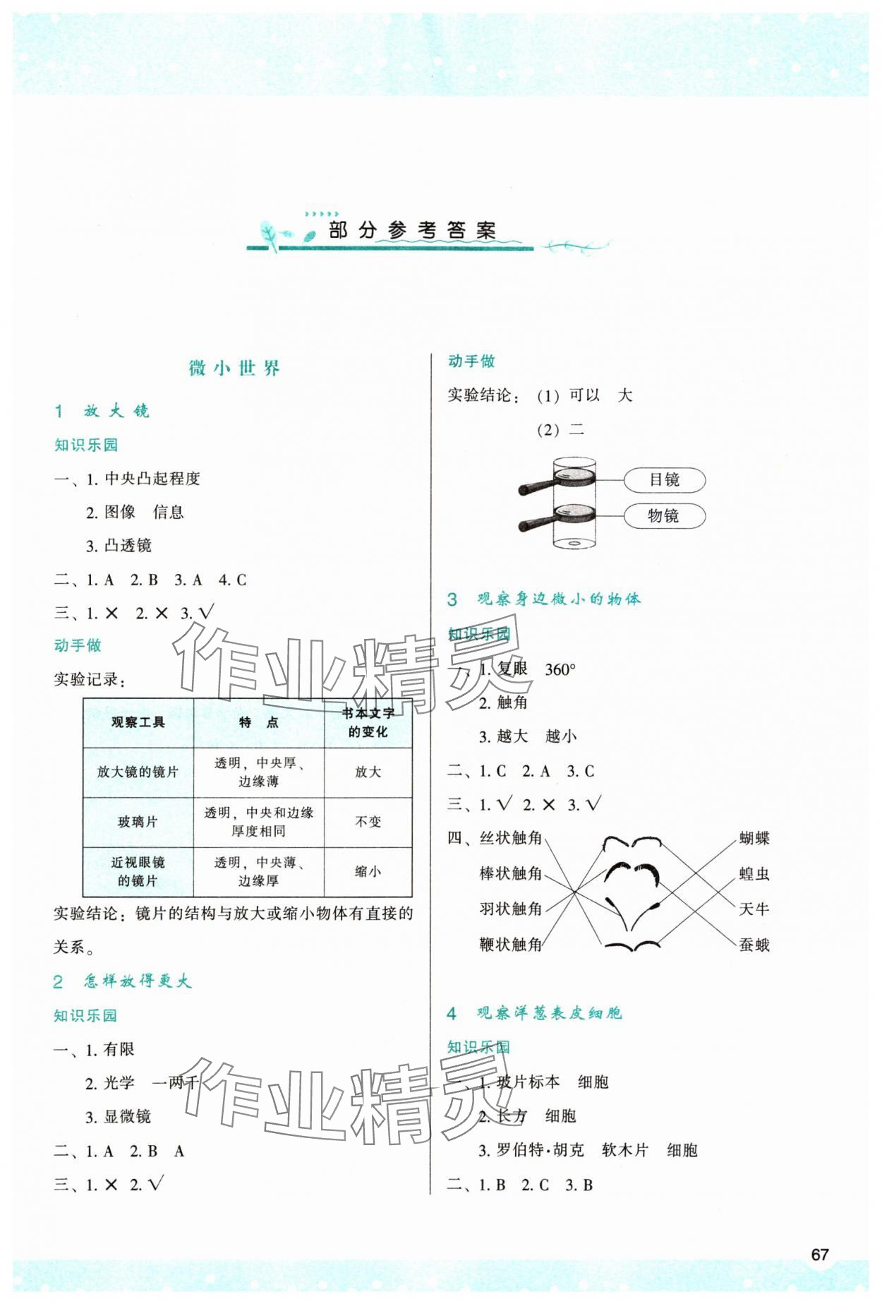 2023年新課程學(xué)習(xí)與評(píng)價(jià)六年級(jí)科學(xué)上冊(cè)教科版 第1頁(yè)