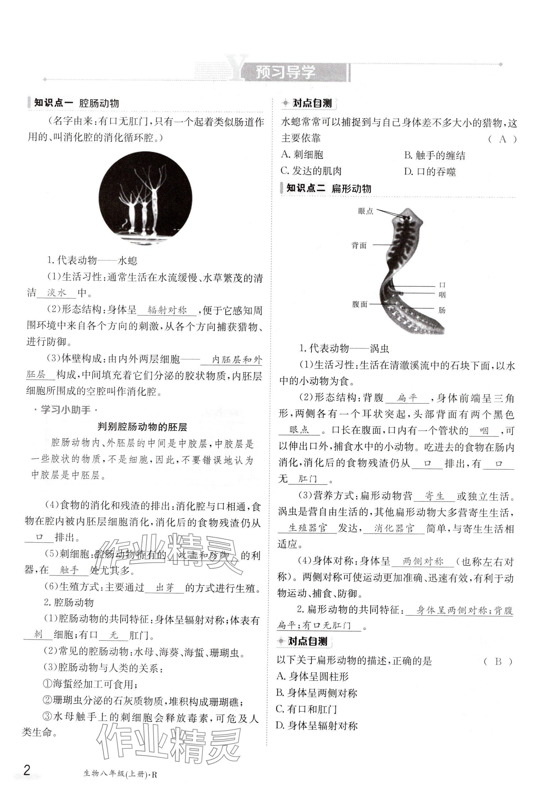 2024年金太陽導(dǎo)學(xué)案八年級生物上冊人教版 參考答案第2頁