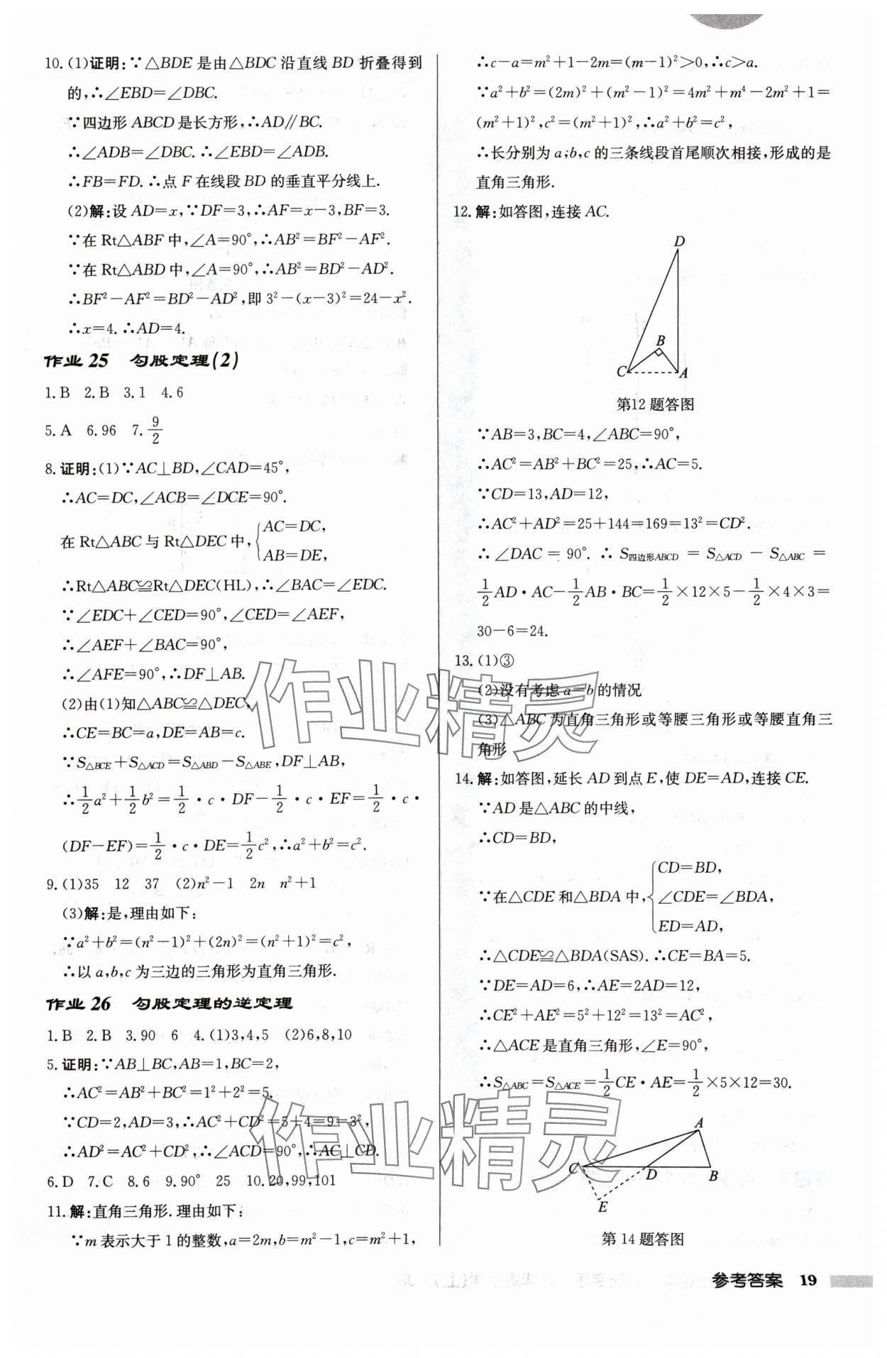 2024年啟東中學(xué)作業(yè)本八年級數(shù)學(xué)上冊江蘇版宿遷專版 第19頁