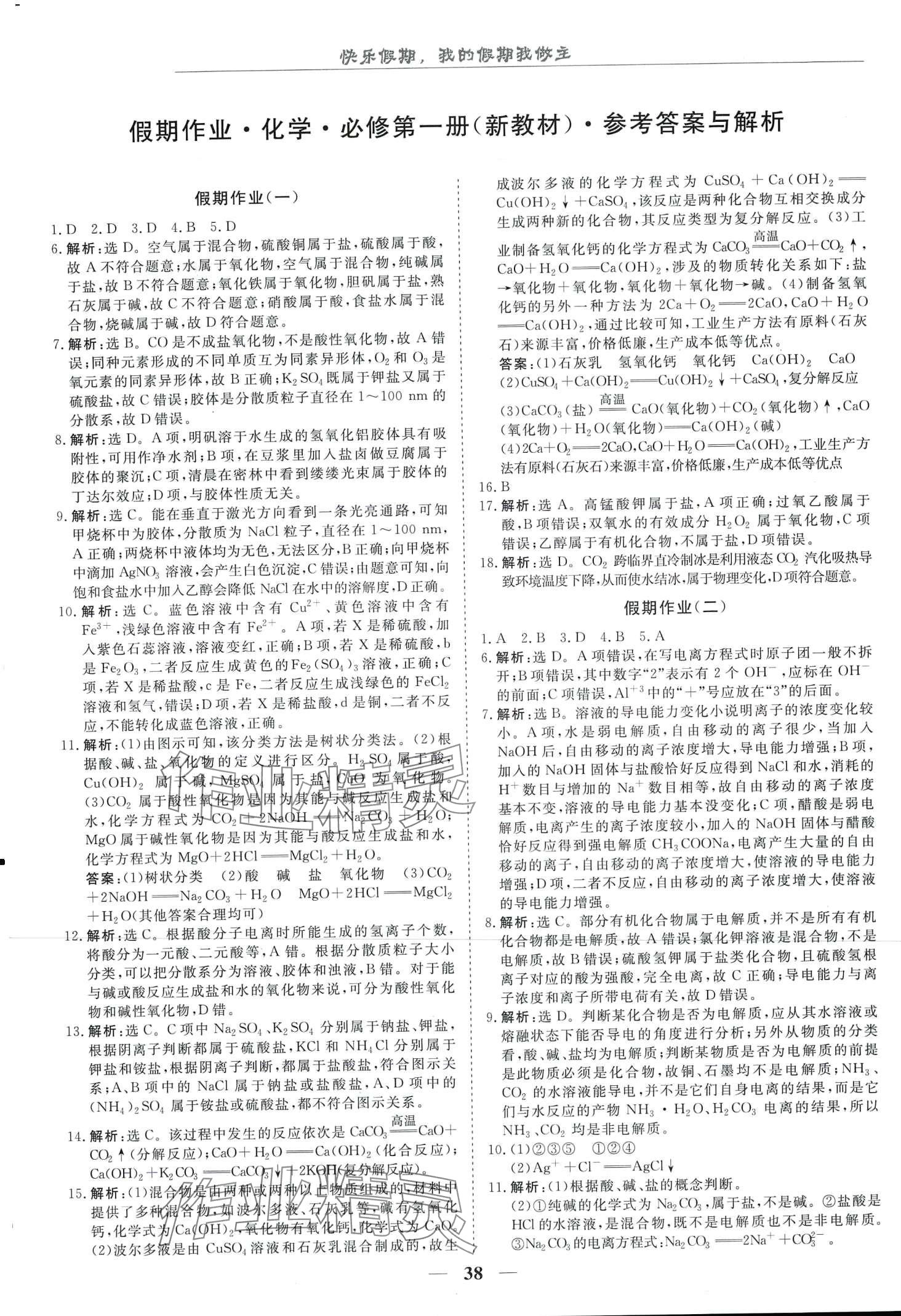 2024年快乐假期崇文书局高一化学 第1页