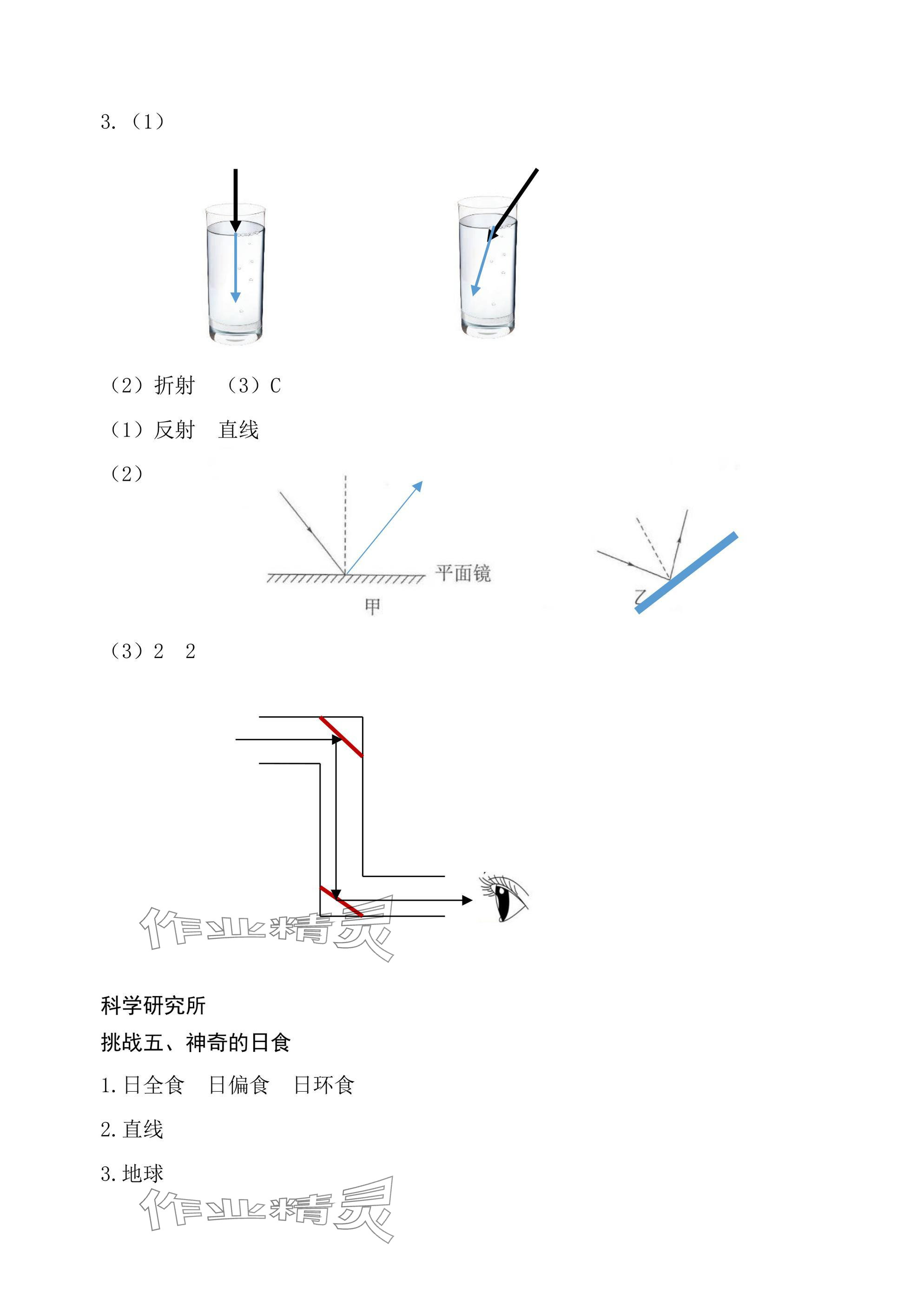 2024年綜合學習與評估五年級科學上冊教科版 參考答案第2頁